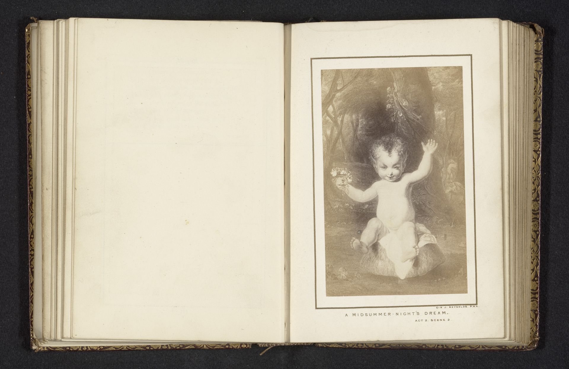 A Midsummernight's Dream by Alfred Brewer