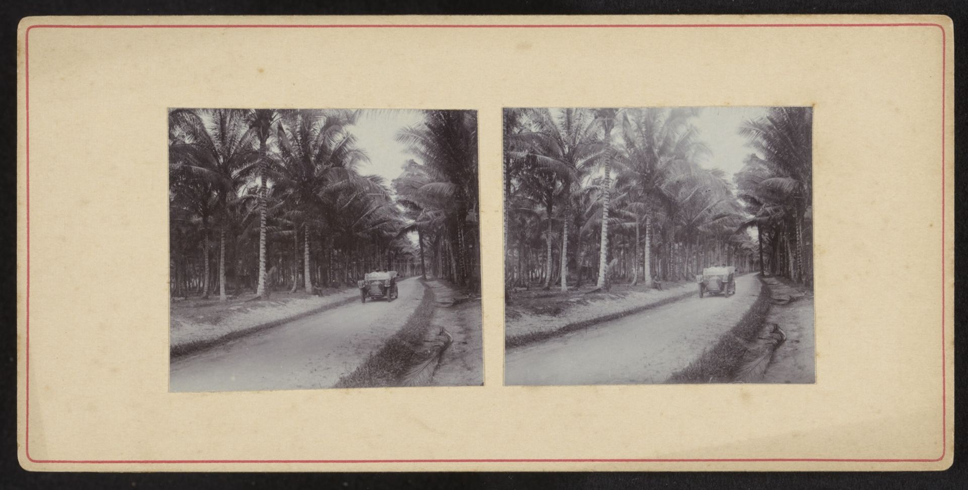 Auto tussen palmen by Robert Julius Boers