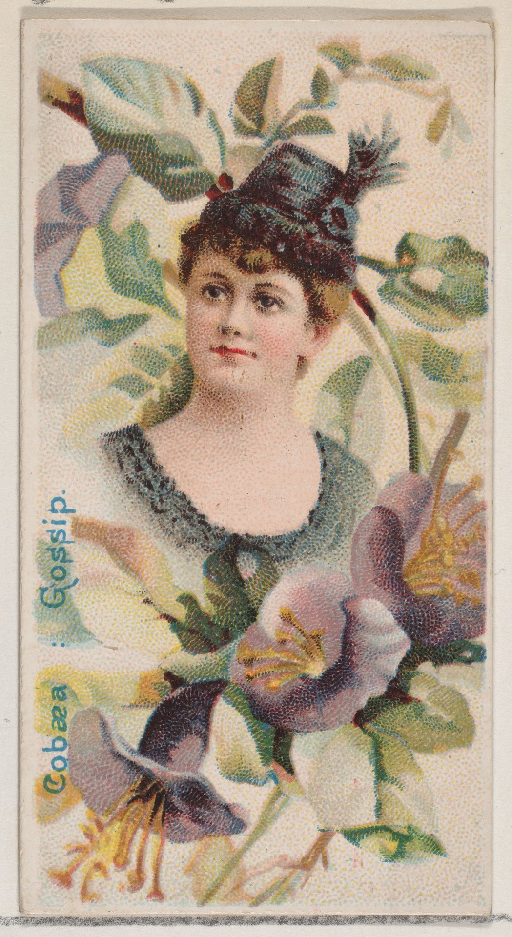 Cobaea: Gossip, from the series Floral Beauties and Language of Flowers (N75) for Duke brand cigarettes by American Tobacco Company