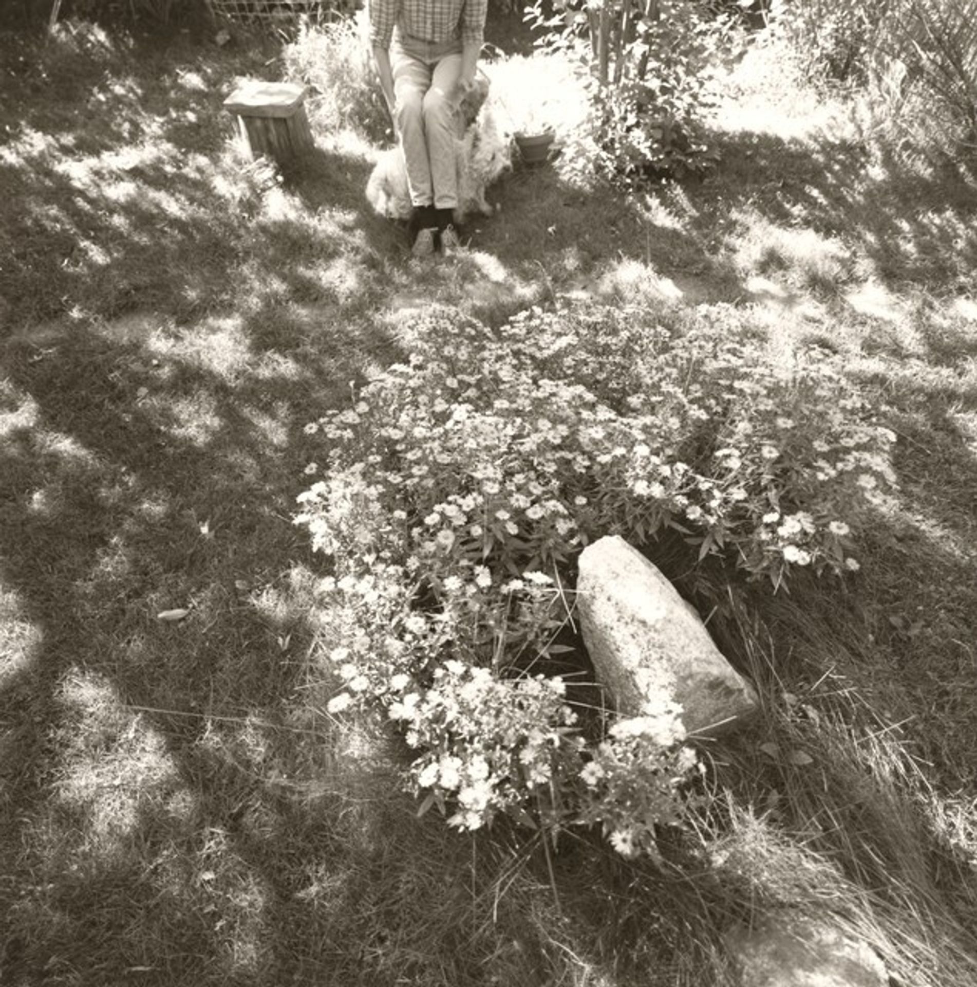 Longmont, Colorado by Robert Adams
