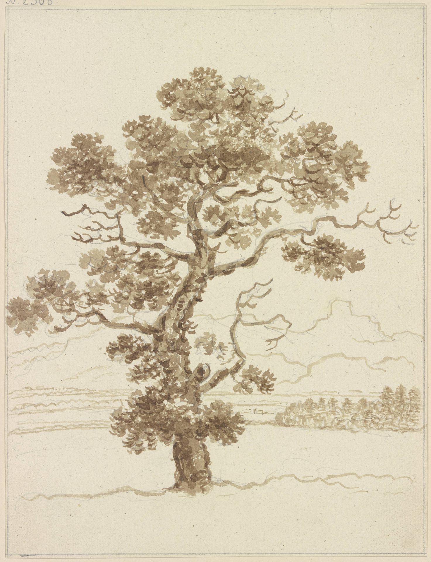 Leaf tree by Friedrich Wilhelm Hirt