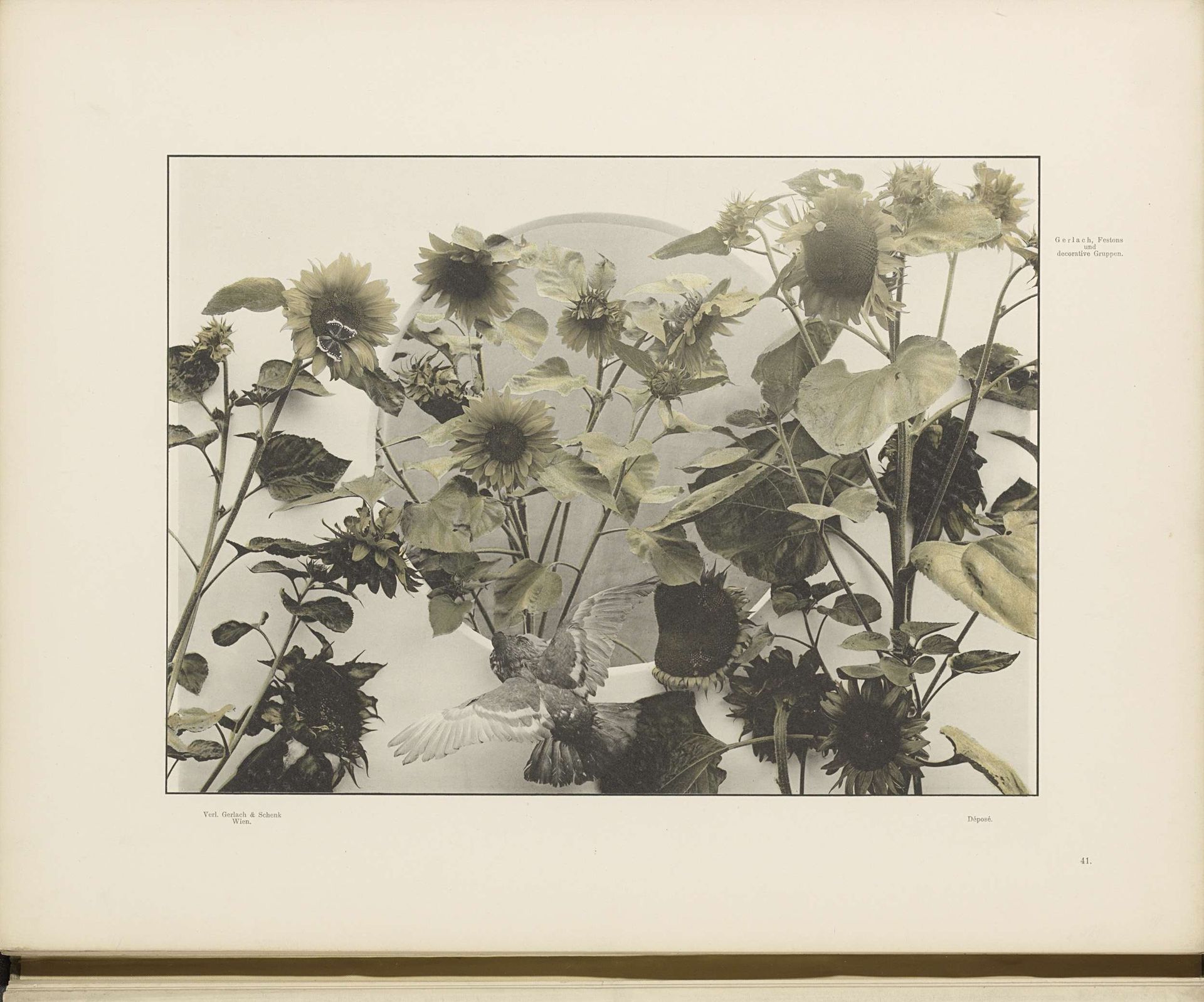 Decoratieve groep met zonnebloemen en een duif by Anonymous