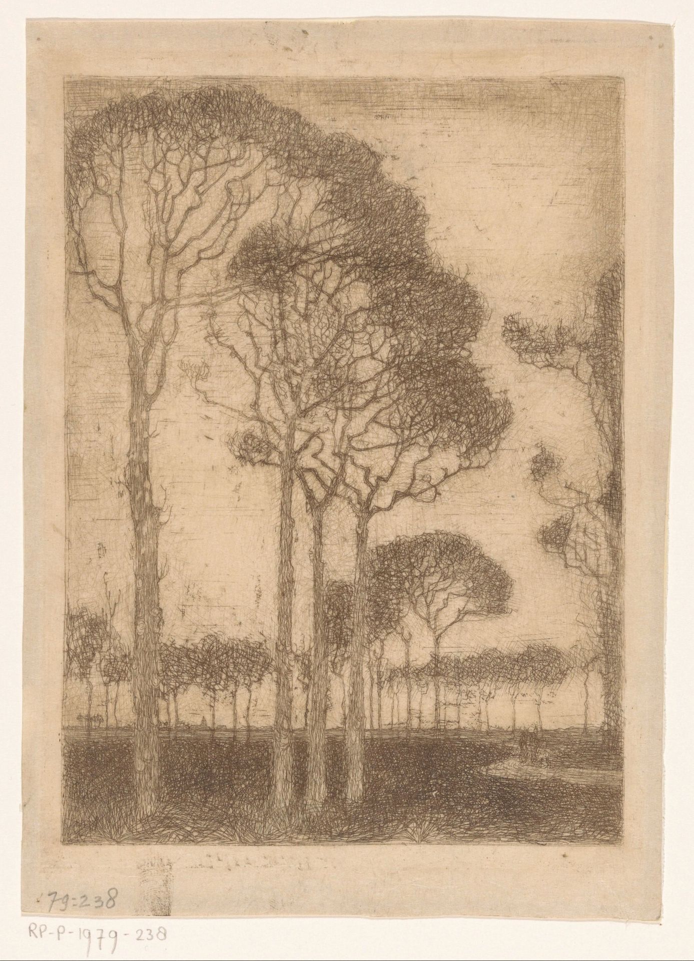 Trees on the edge of the Oranjewoud by Jan Mankes