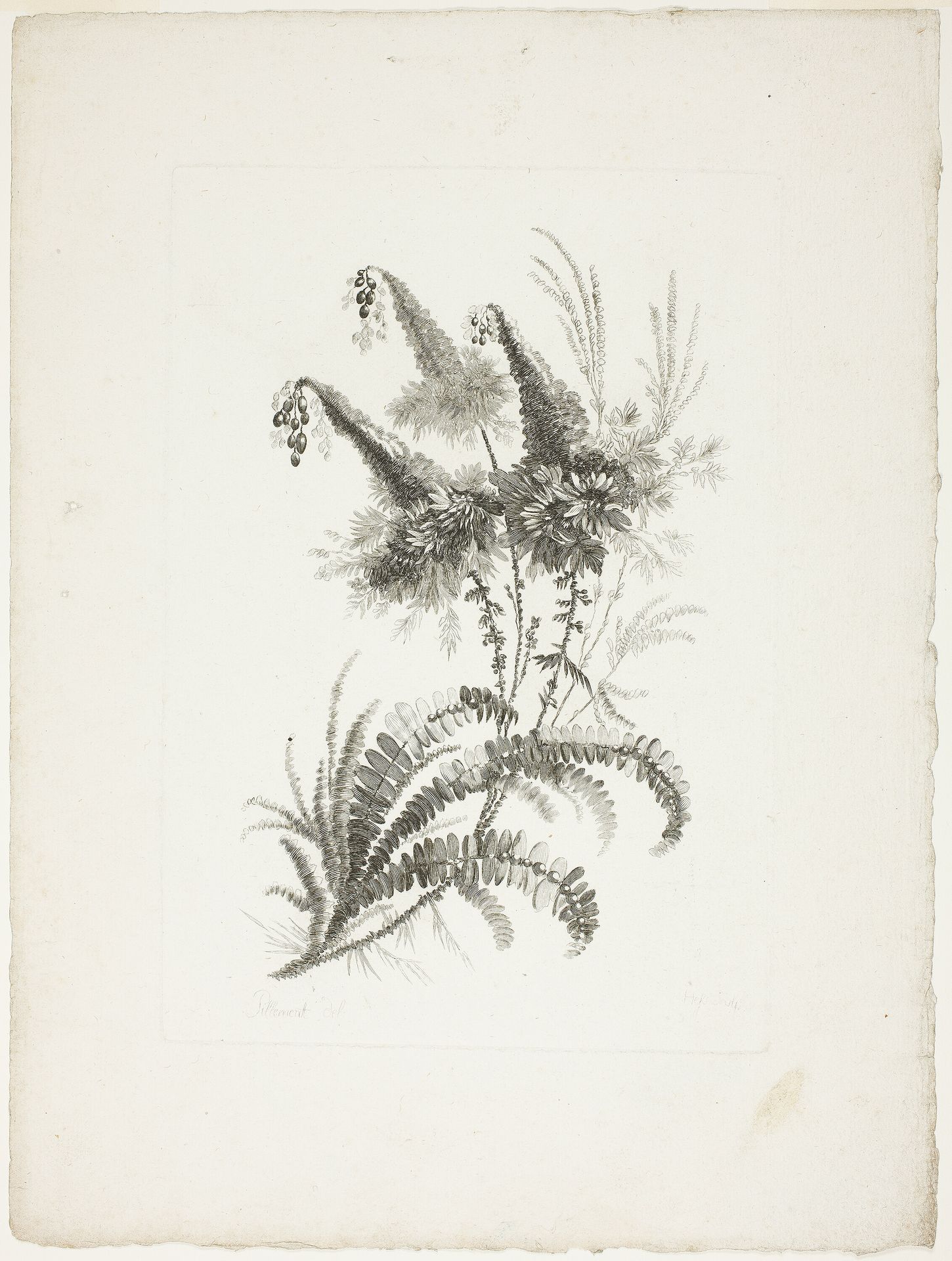 Bouquet, from Collection of New Flowers of Taste for the Manufacture of Persian Cloth, Invented and Drawn by Jean Pillement by Johann Heinrich Hess