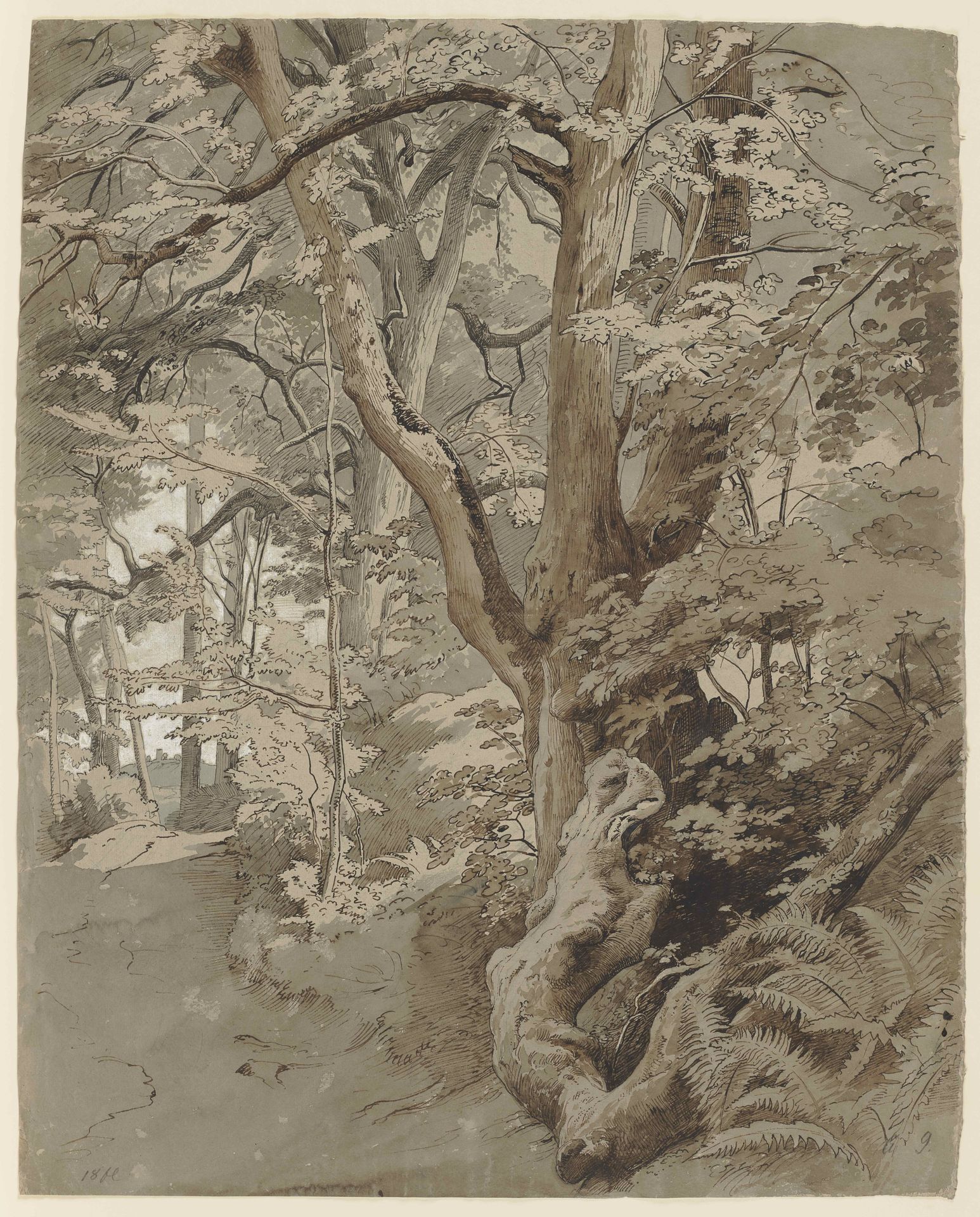 Waldpartie mit einer Eiche und Farnkraut by Johann Wilhelm Schirmer