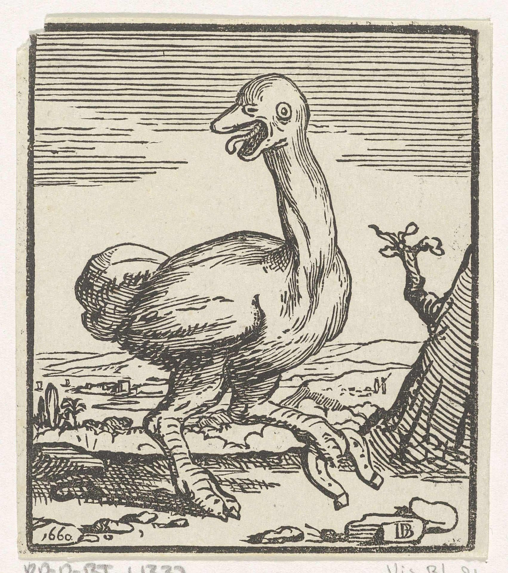 Struisvogel by Dirck de Bray
