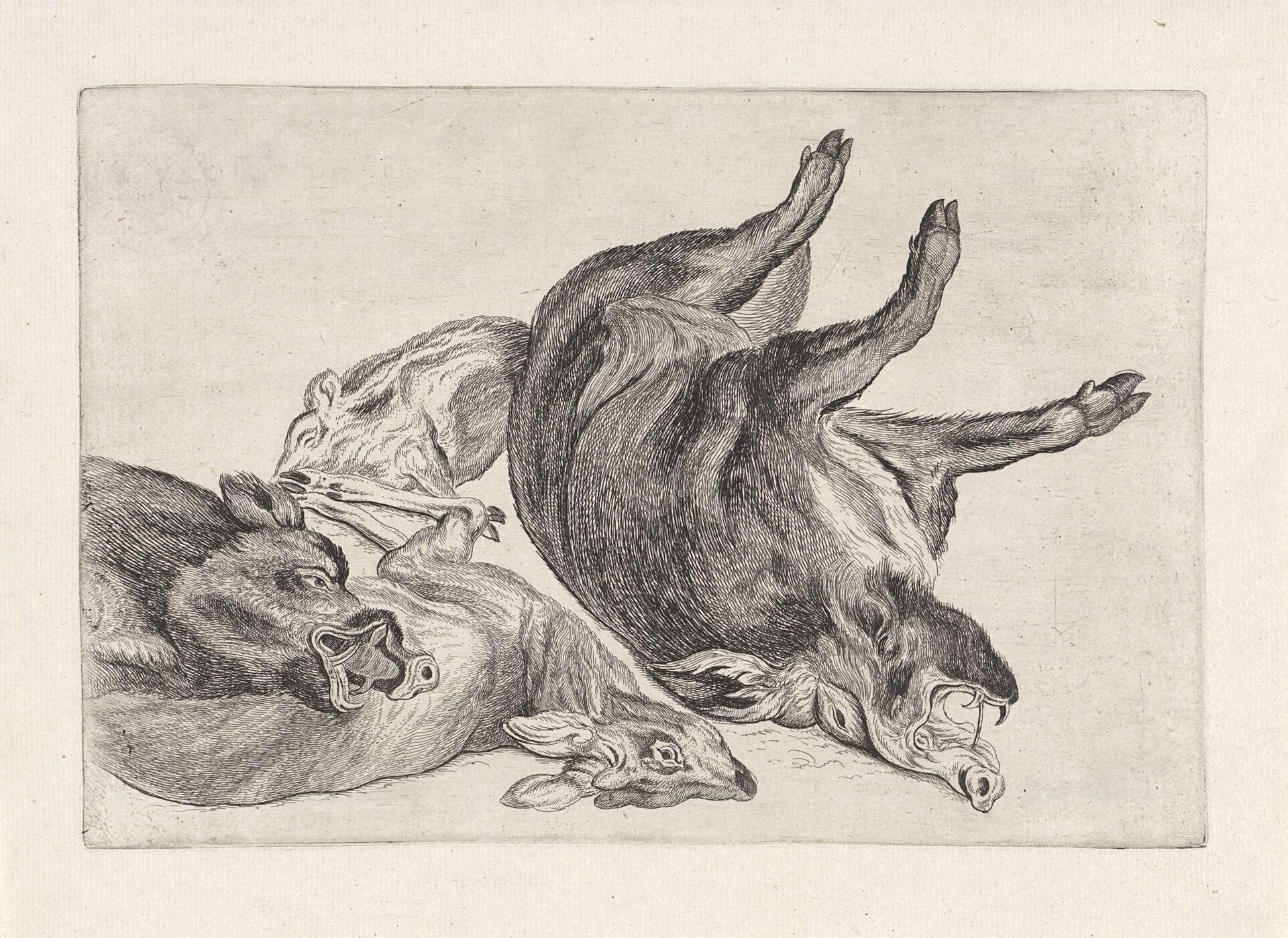 Geschoten wild: een dood hert en wilde zwijnen by Wenceslaus Hollar