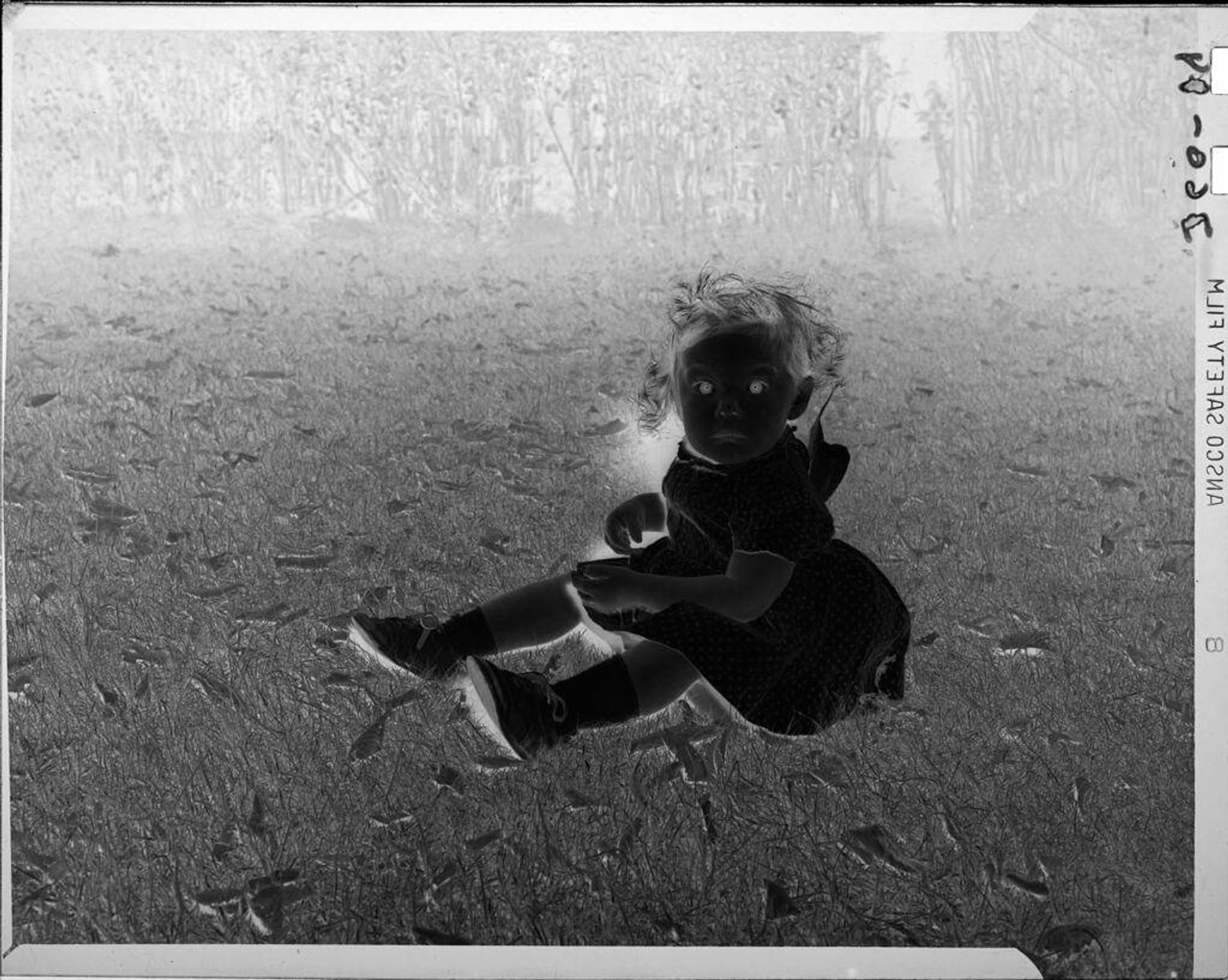 Untitled (little girl sitting on grass) by John Howell