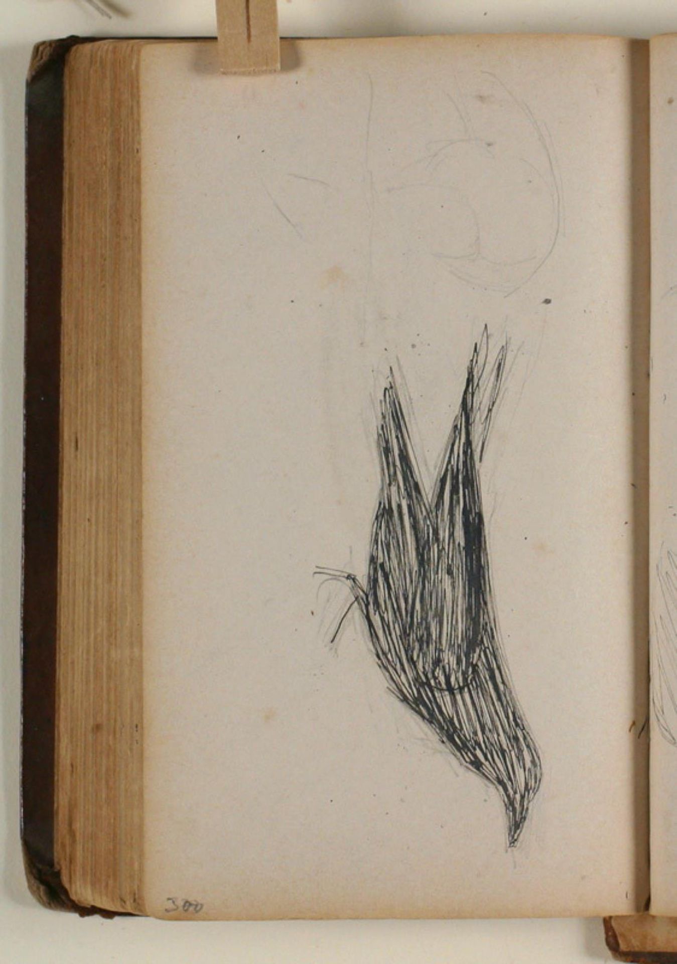 Studier af råger eller ravne by Niels Larsen Stevns