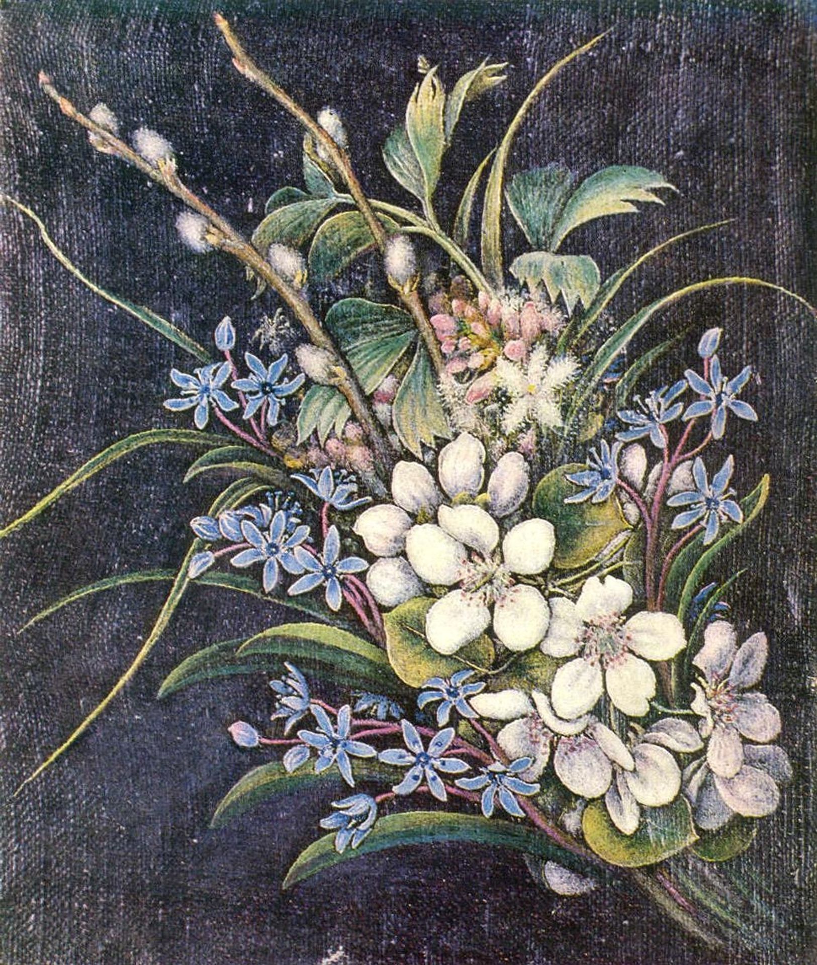 Catkin by Kateryna Bilokur