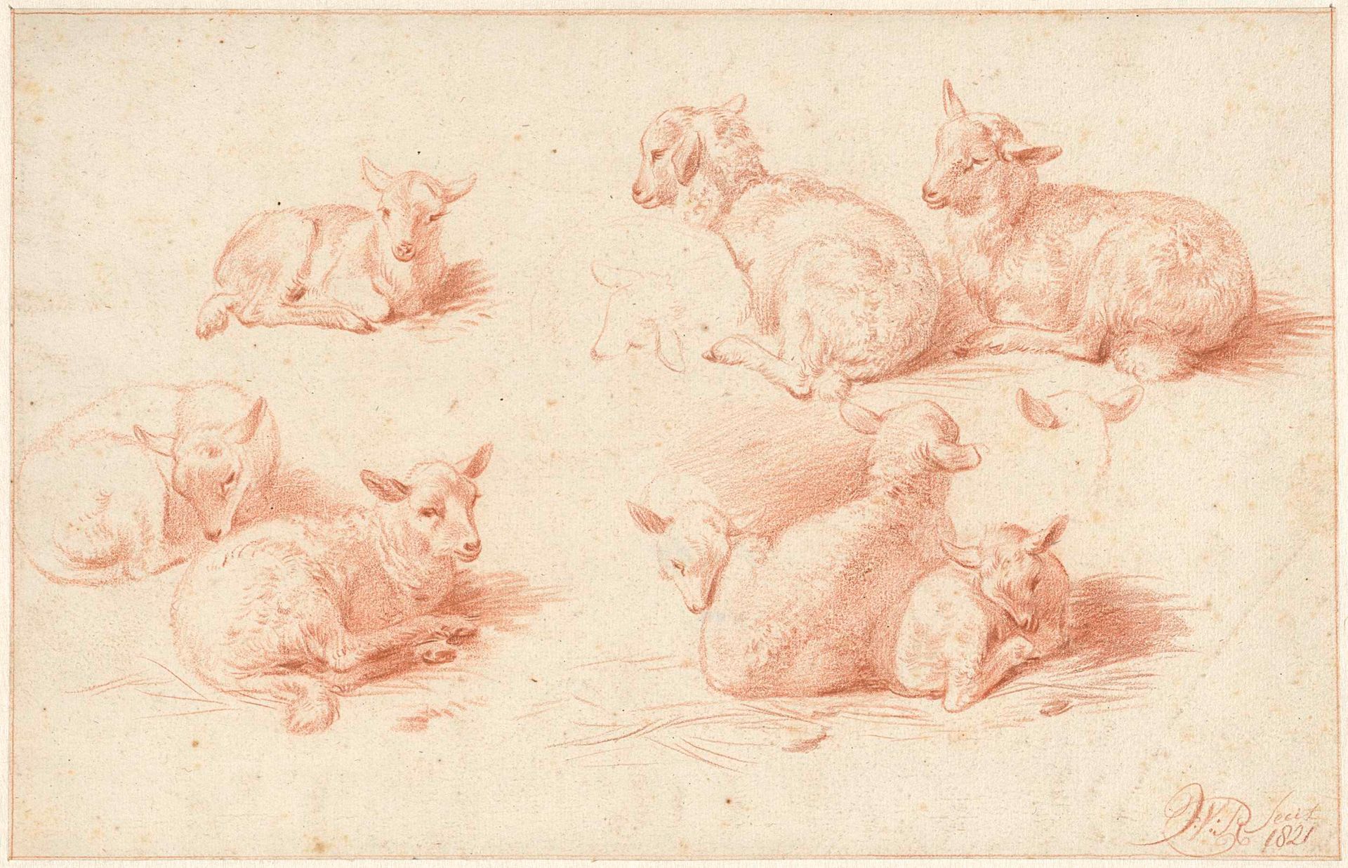 Studies van lammetjes by Jan van Ravenswaay