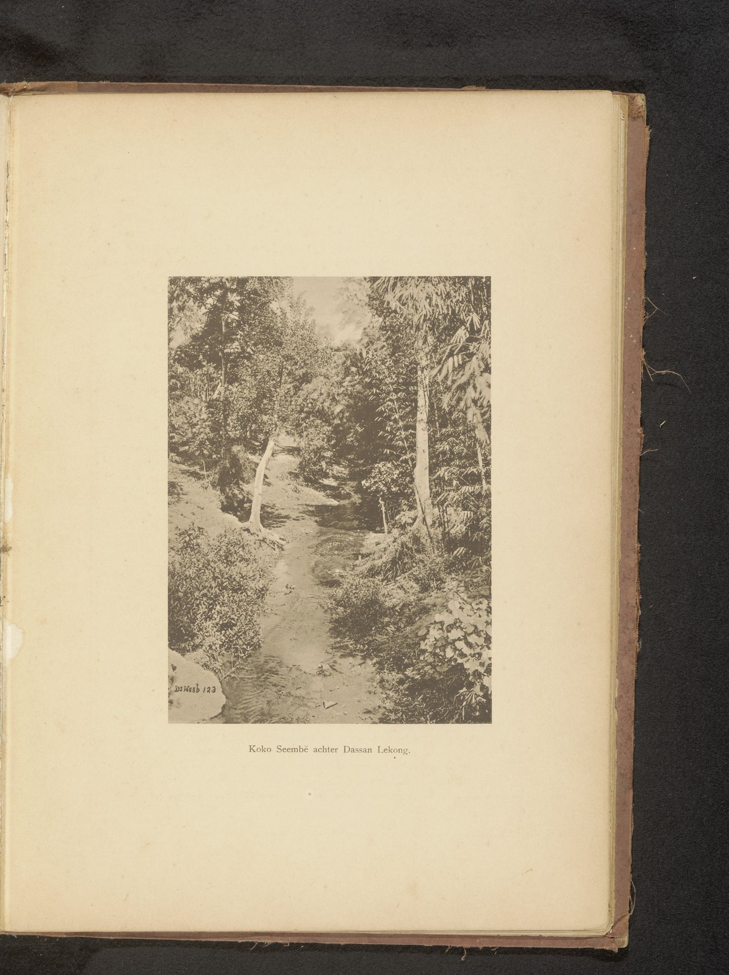 Gezicht op een water in een bebost gebied by Christiaan Johan Neeb