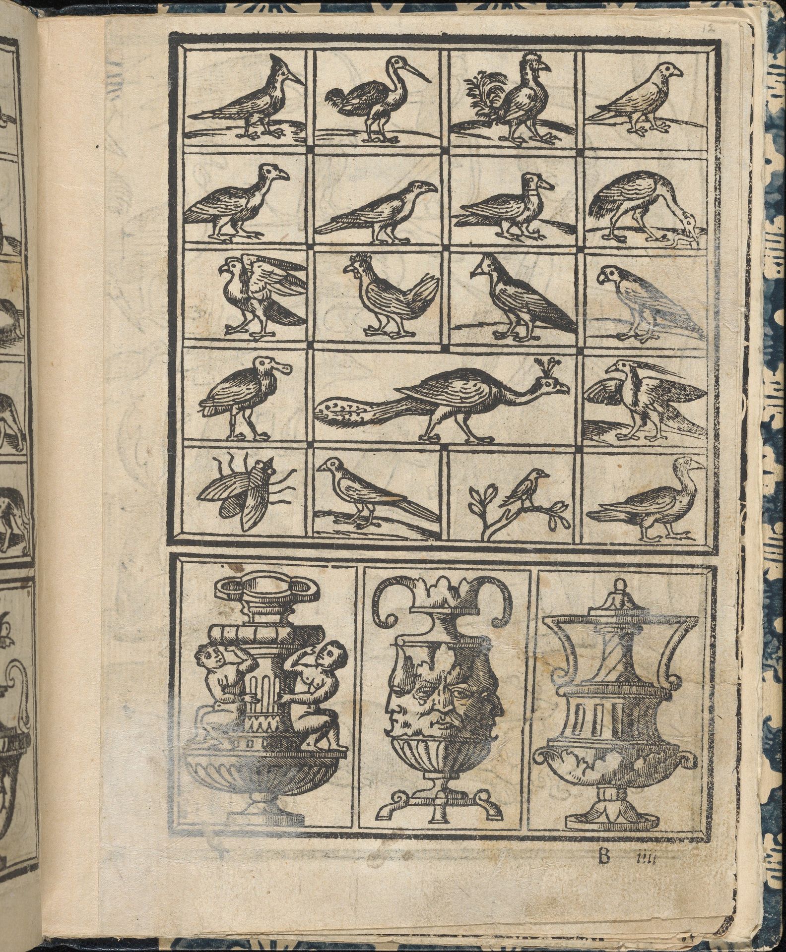 Essempio di recammi, page 12 (recto) by Giovanni Antonio Tagliente