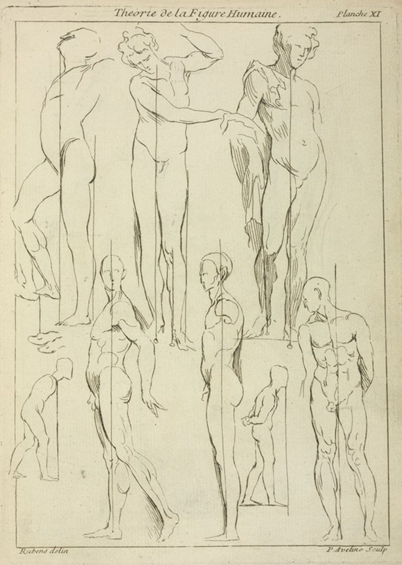 Studies of figures in upright positions by Peter Paul Rubens