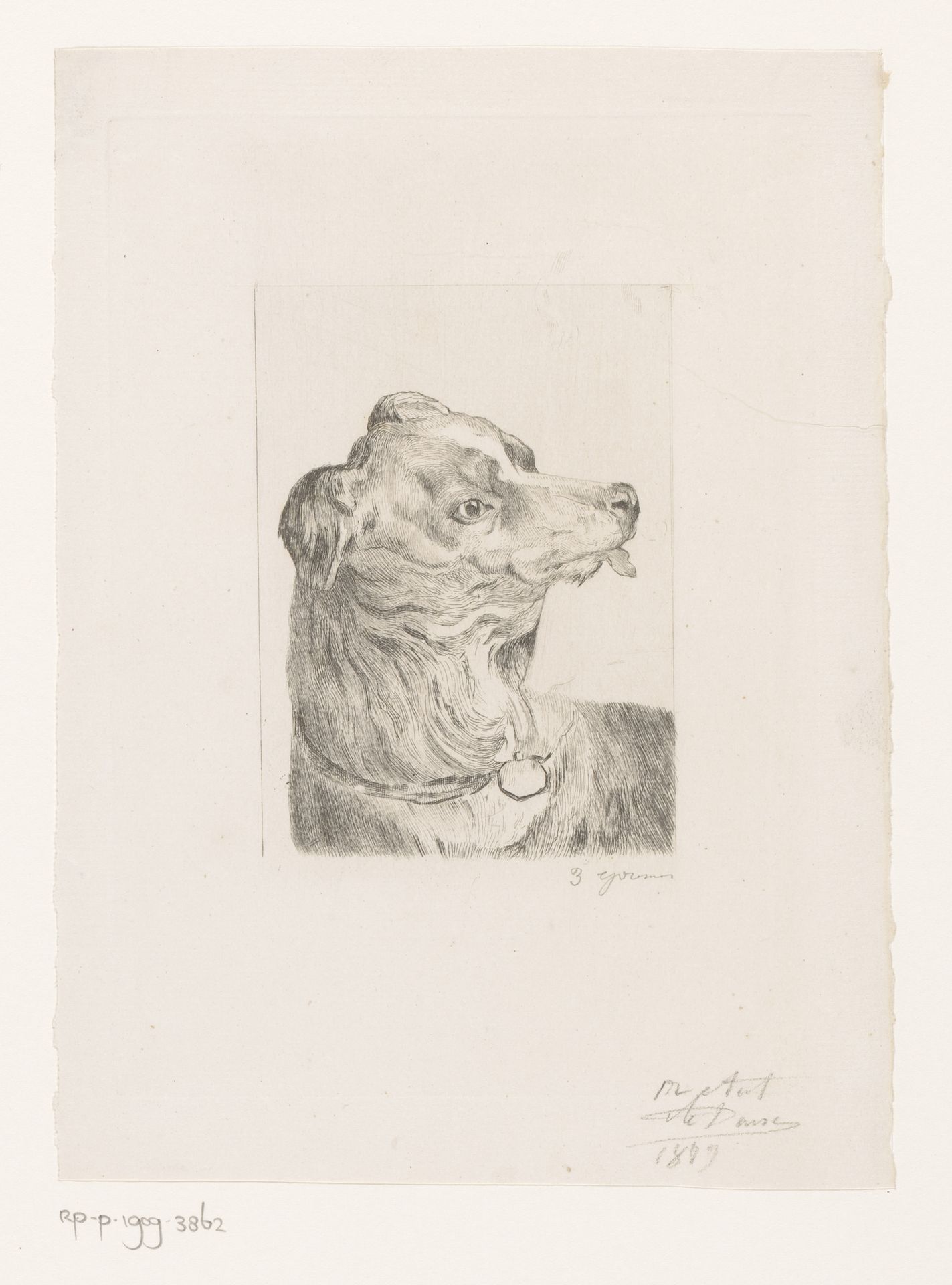 Kop van een hond met de tong uit de bek by Auguste Danse