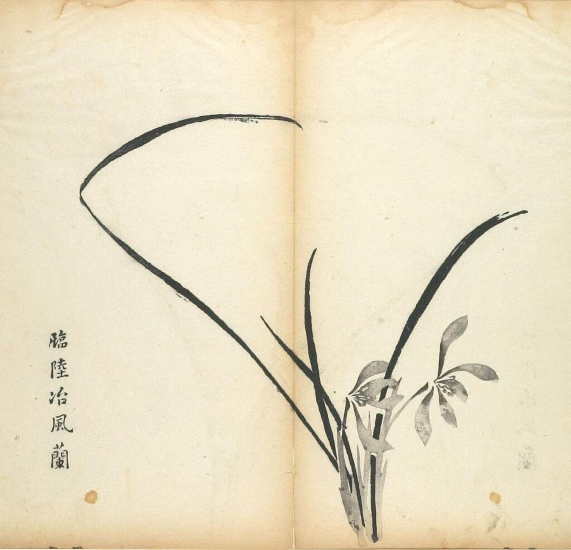 Orchids -- Illustration from the Ten Bamboo Studio Manual of Calligraphy and Painting (Shizhuzhai shuhua pu) by Hu Zhengyan