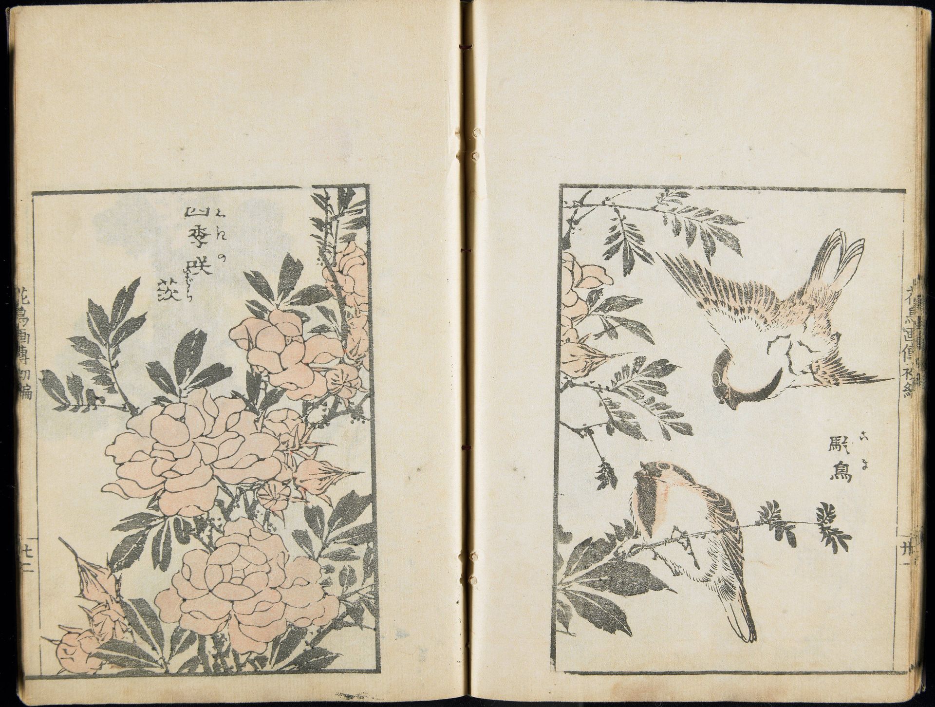Pictures of Birds and Flowers vol. 1 by Katsushika Taito II