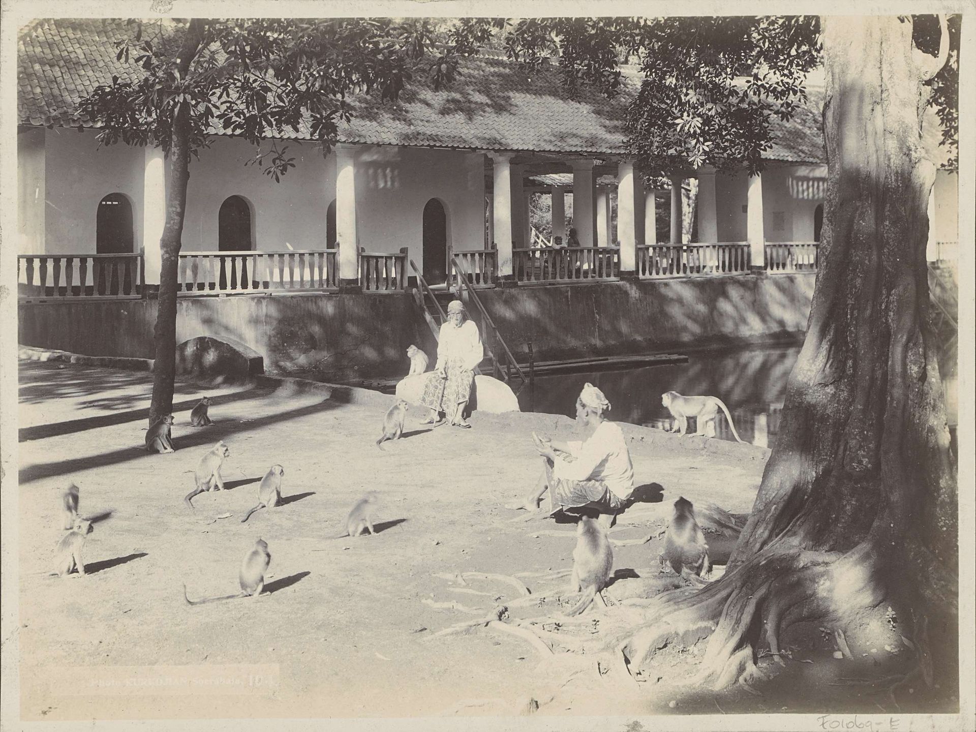 Mannen met aapjes op een erf aan een water, mogelijk in Surabaya by Onnes Kurkdjian