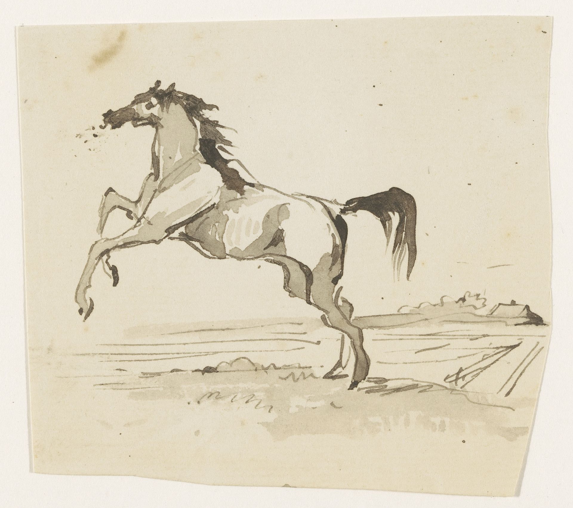 Springend paard, in het veld by Johannes Tavenraat