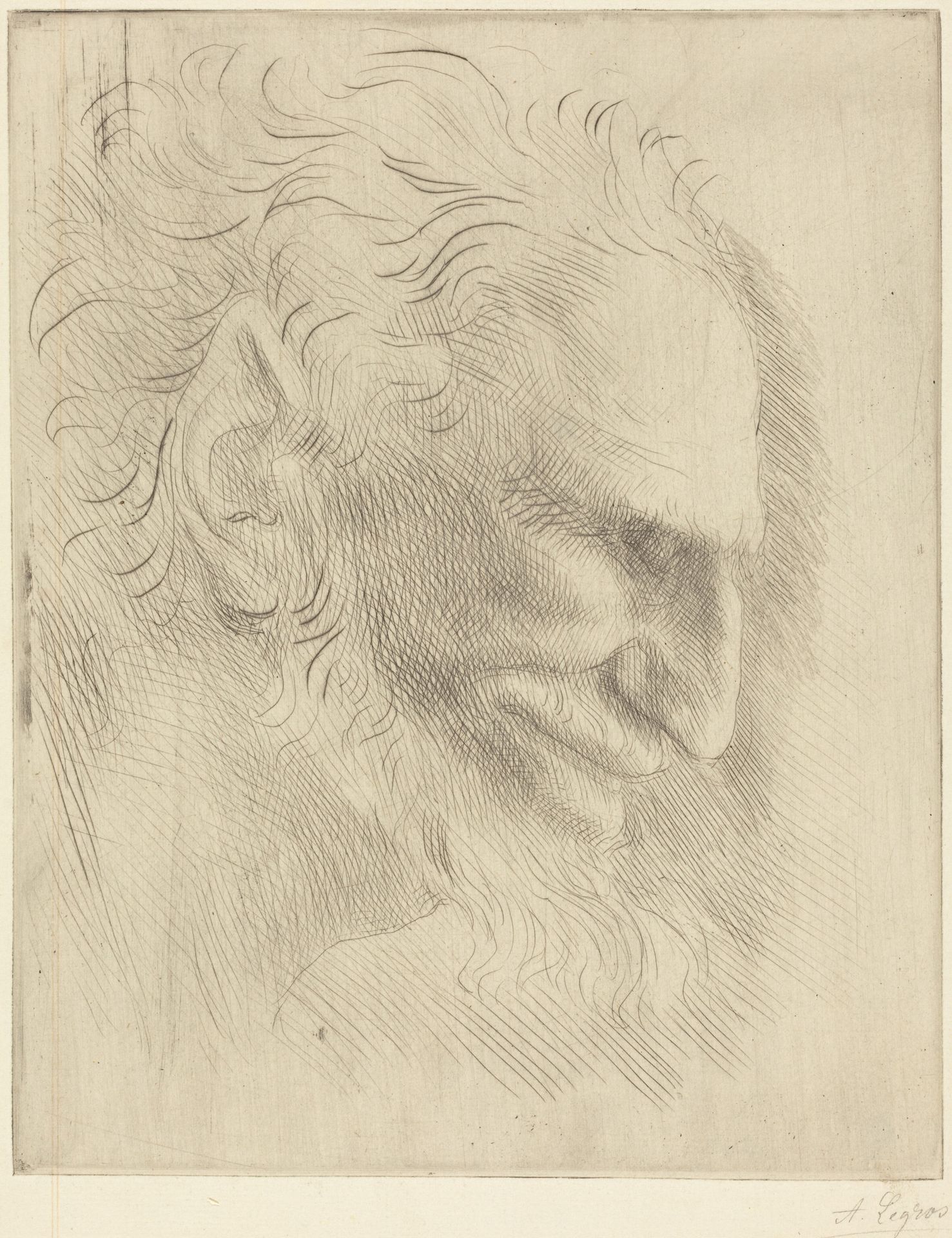 Study for the Head of a Man (Etude de tete d'homme) by Alphonse Legros