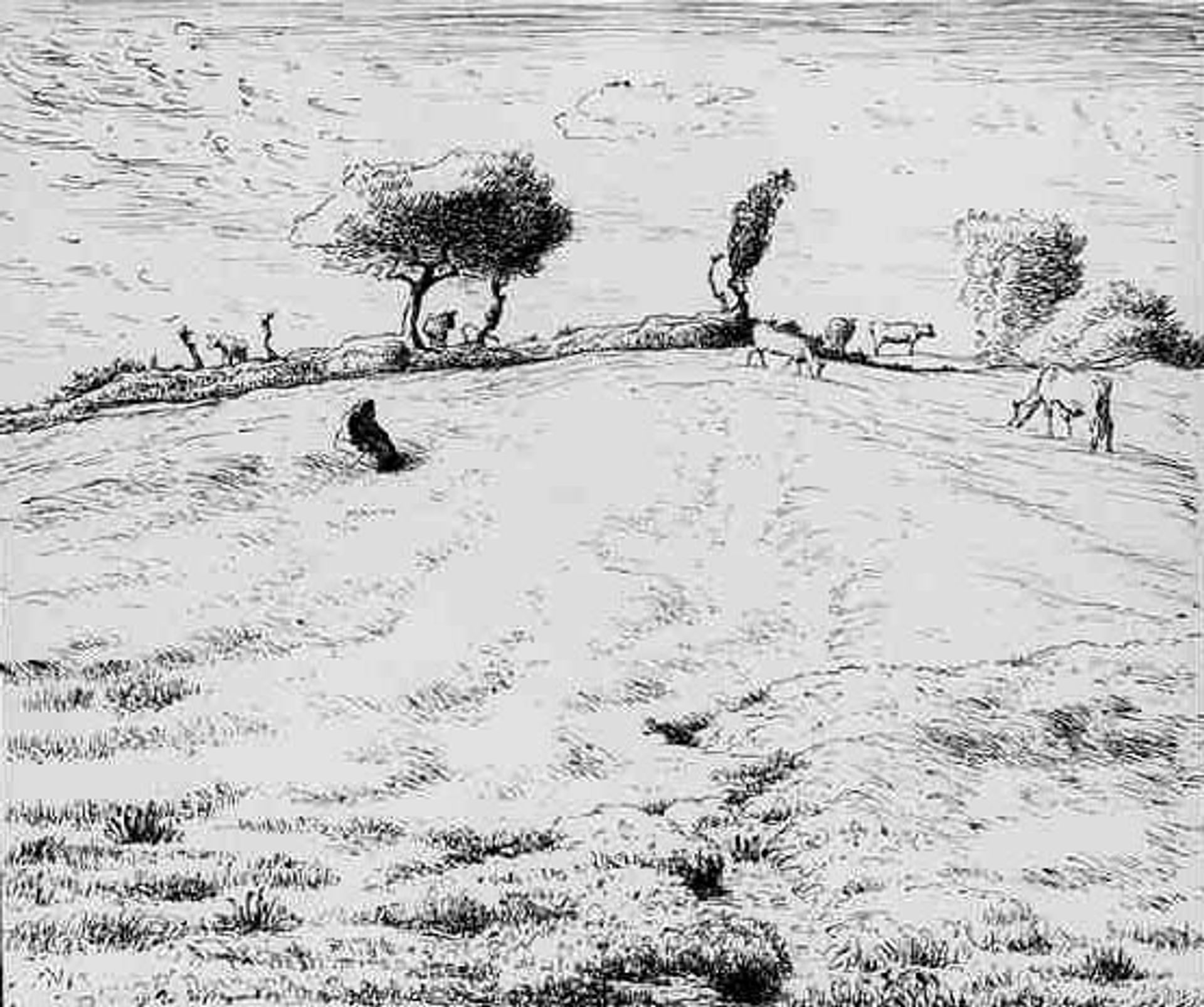 Landscape Hillside in Gruchy by Jean-François Millet