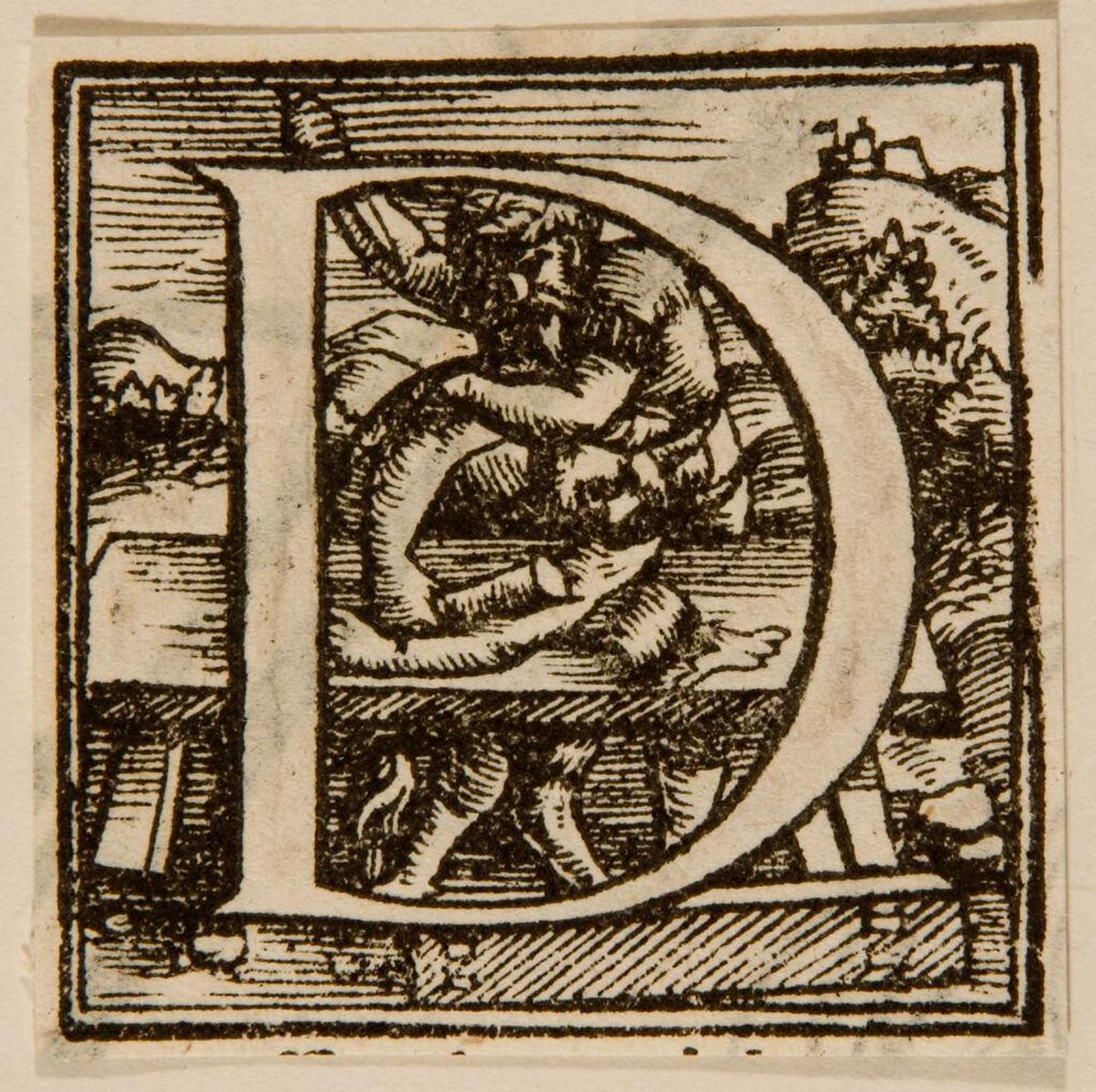 Letter D by Anonymous