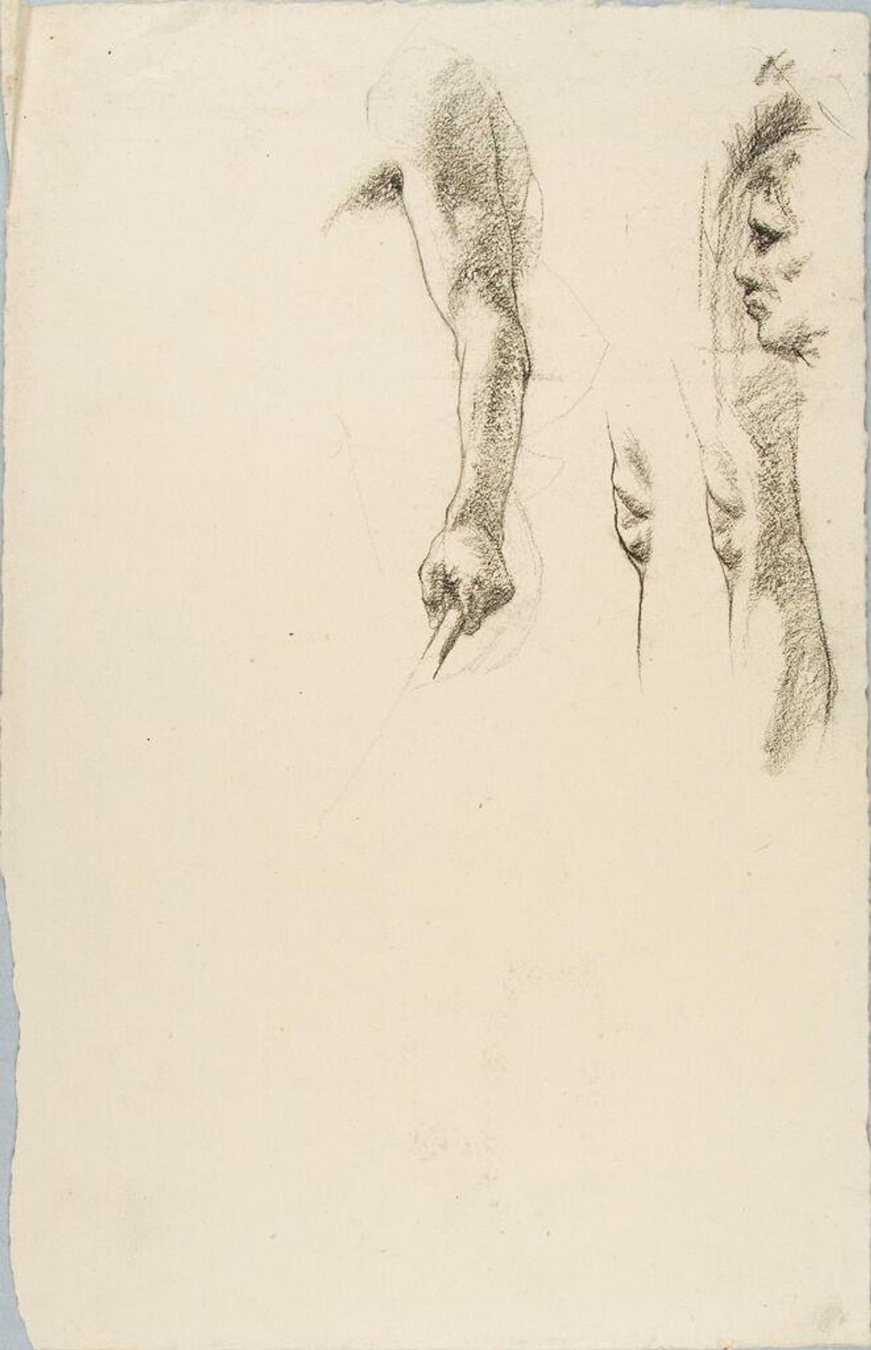 Sketches of Parts of the Human Body by William Valentine Schevill