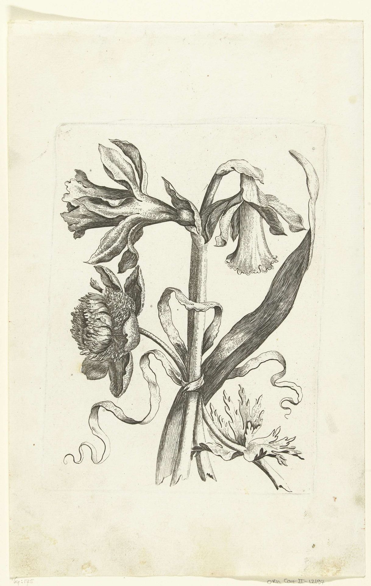 Pioenroos en twee narcissen by Anonymous