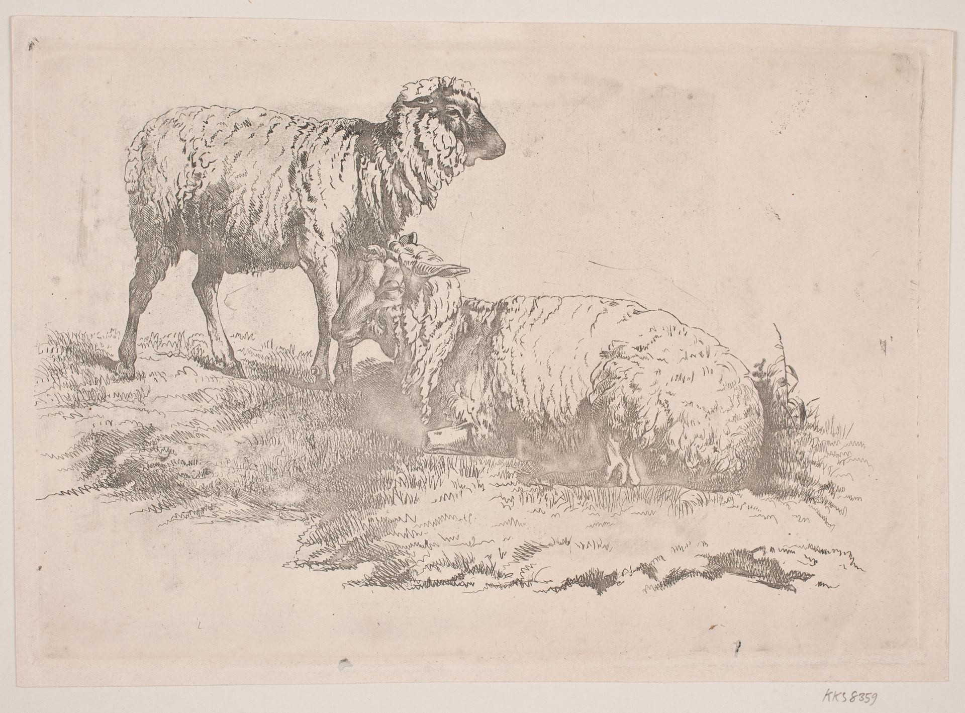 To får by J.P. Møller