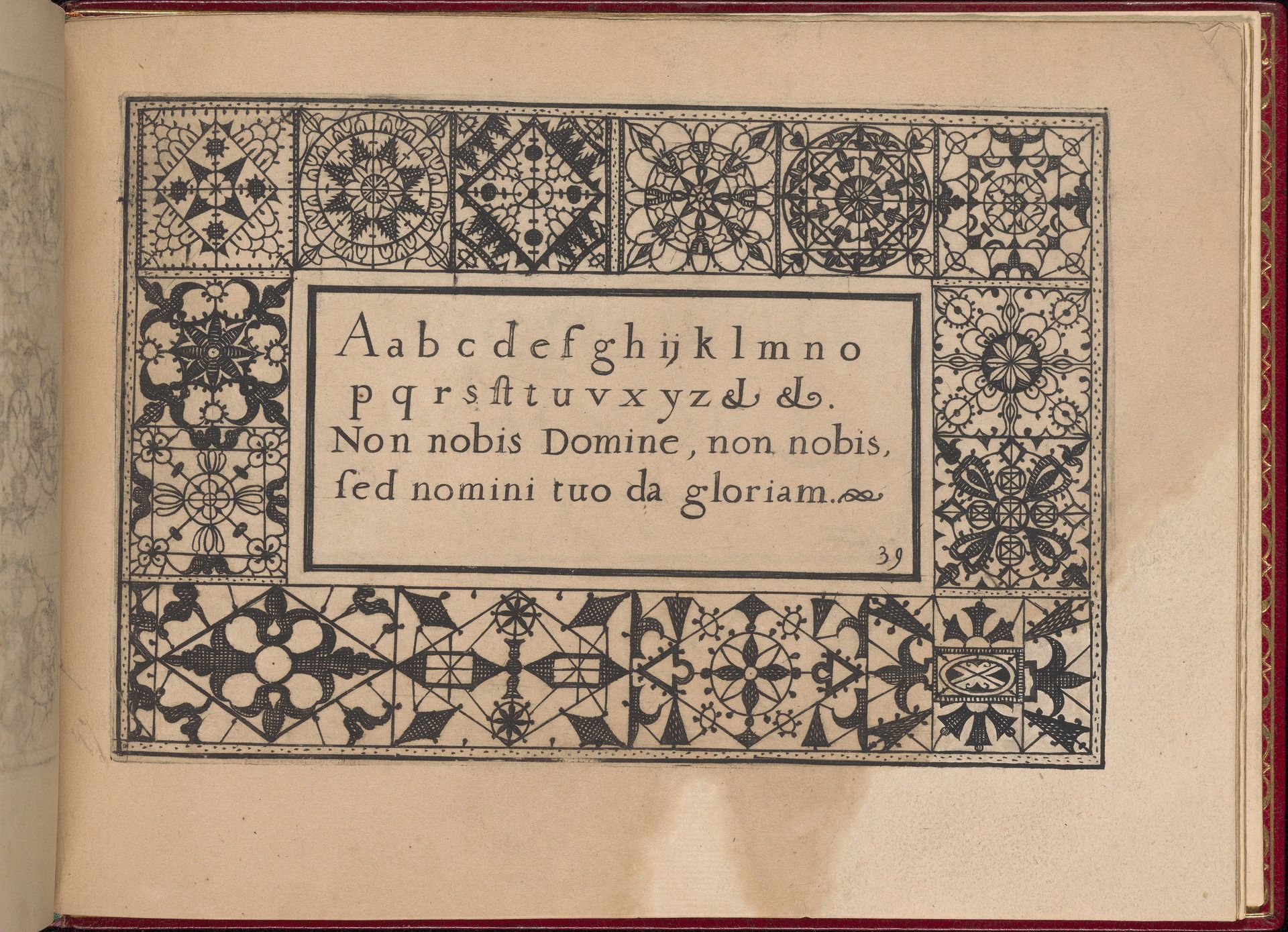 Ghirlanda: Di sei vaghi fiori scielti da piu famosi Giardini d'Italia, page 47 (recto) by Pietro Paulo Tozzi