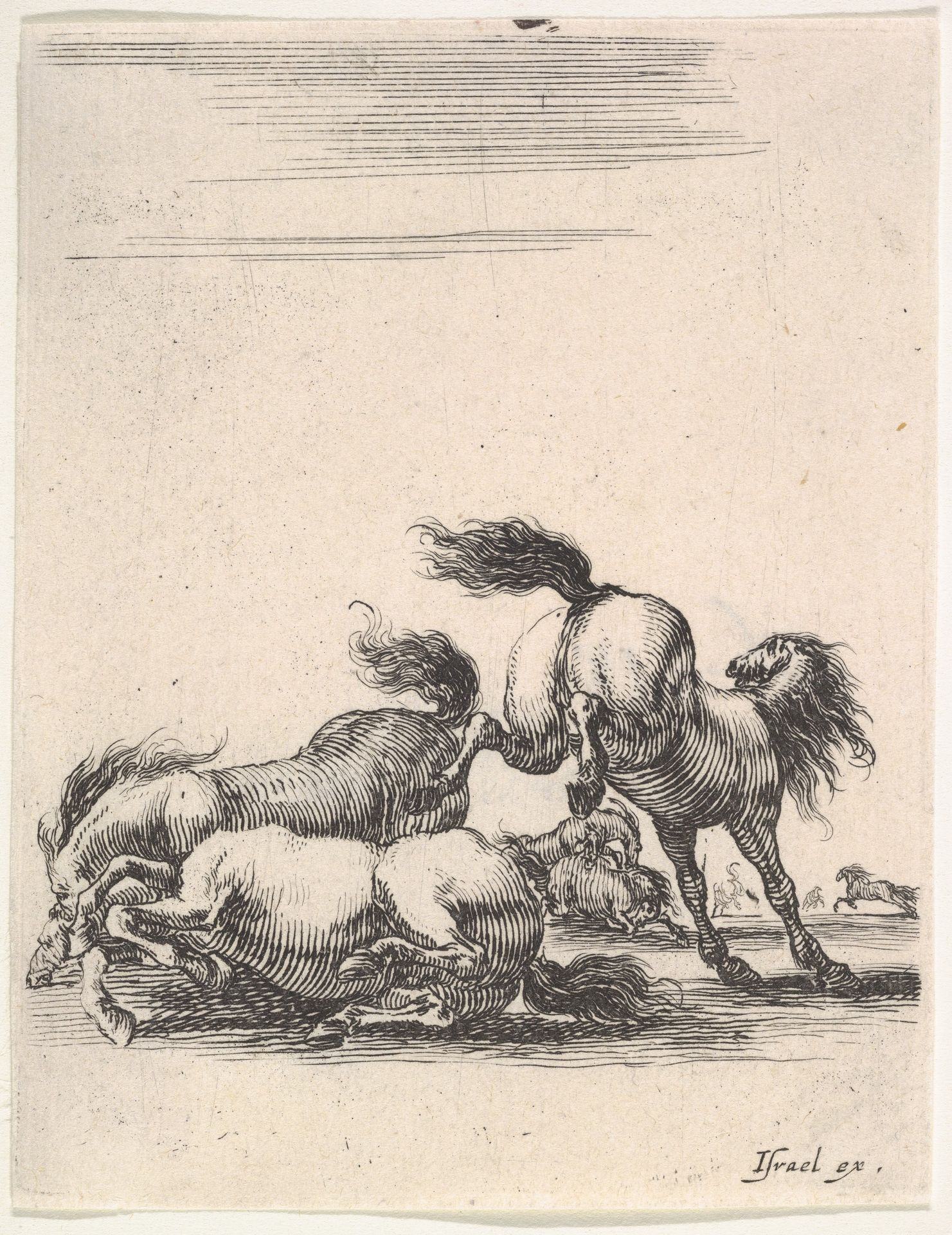 Several horses fighting, one horse to right kicking two horses on the ground below to left, other horses fighting in the background, from 'Various cavalry exercises' (Diverses exercices de cavalerie) by Stefano della Bella