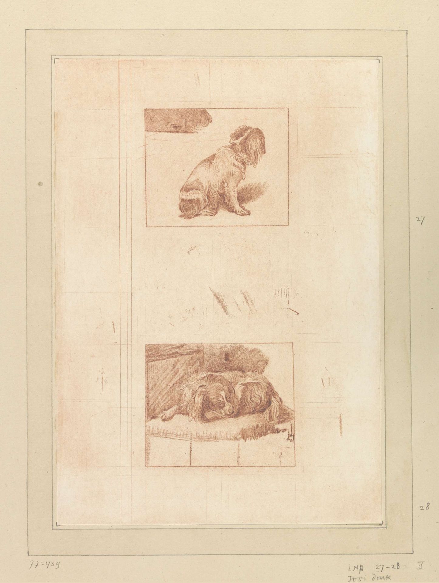 Zittende en liggende hond by Cornelis Brouwer