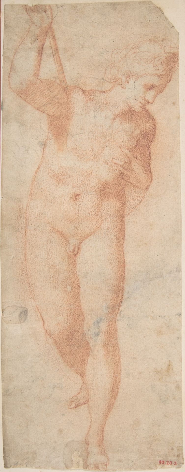 Hermaphrodite by Anonymous