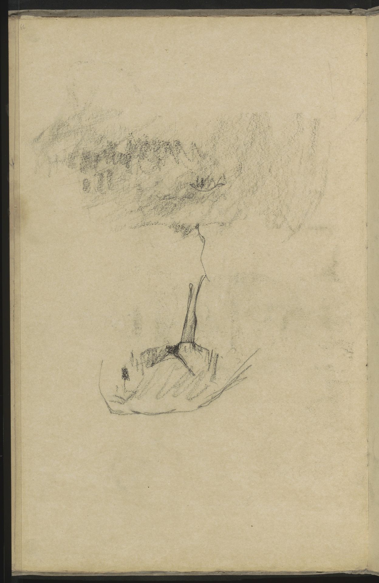 Schaap en een landschap by Willem Witsen