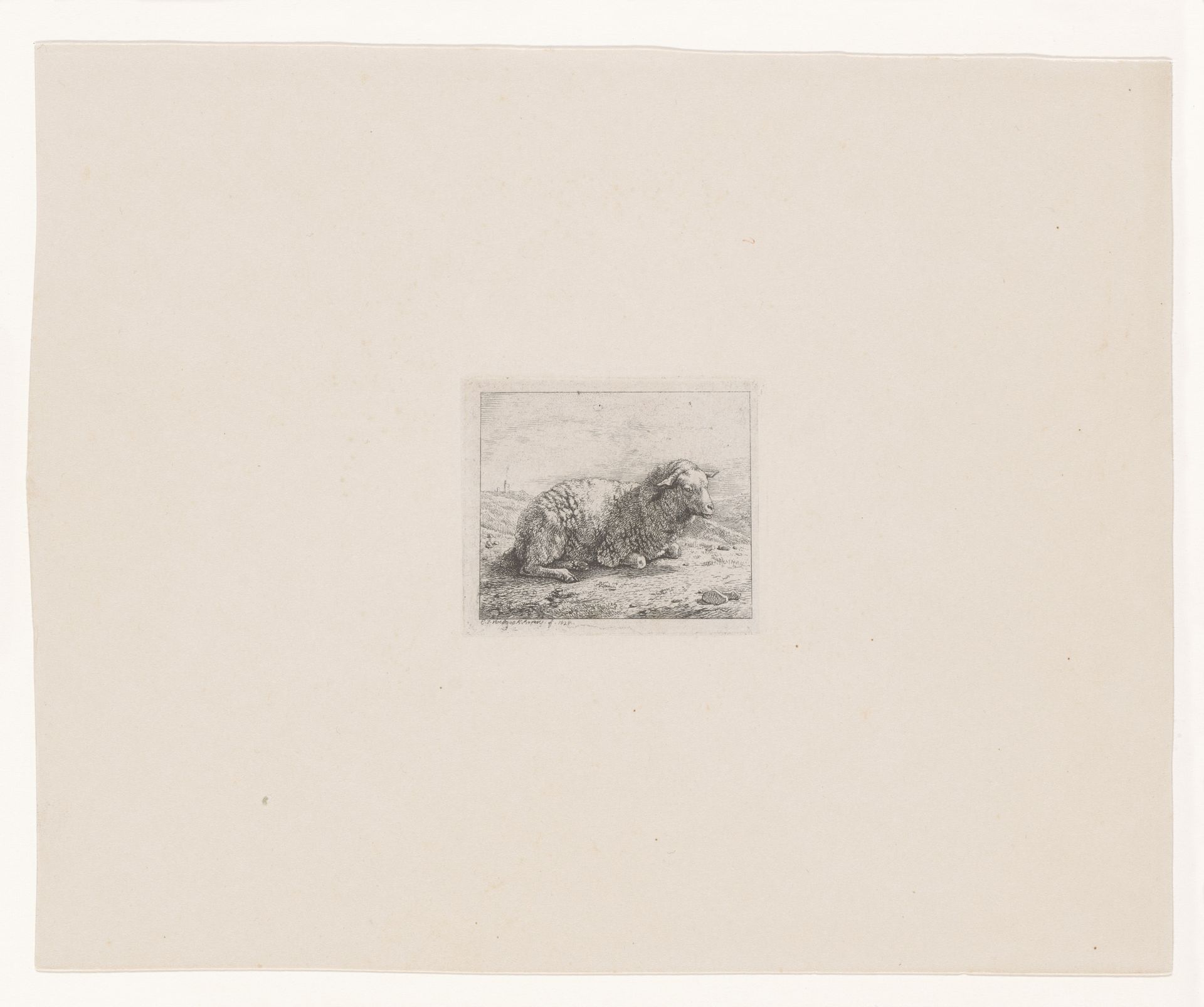 Liggend schaap by Eugène Verboeckhoven