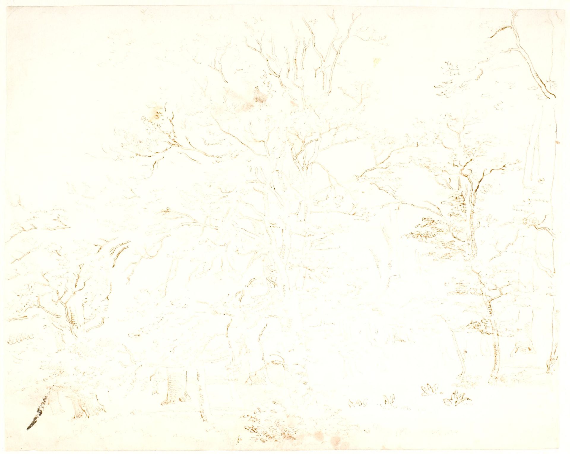 Skovinteriør by Dankvart Dreyer