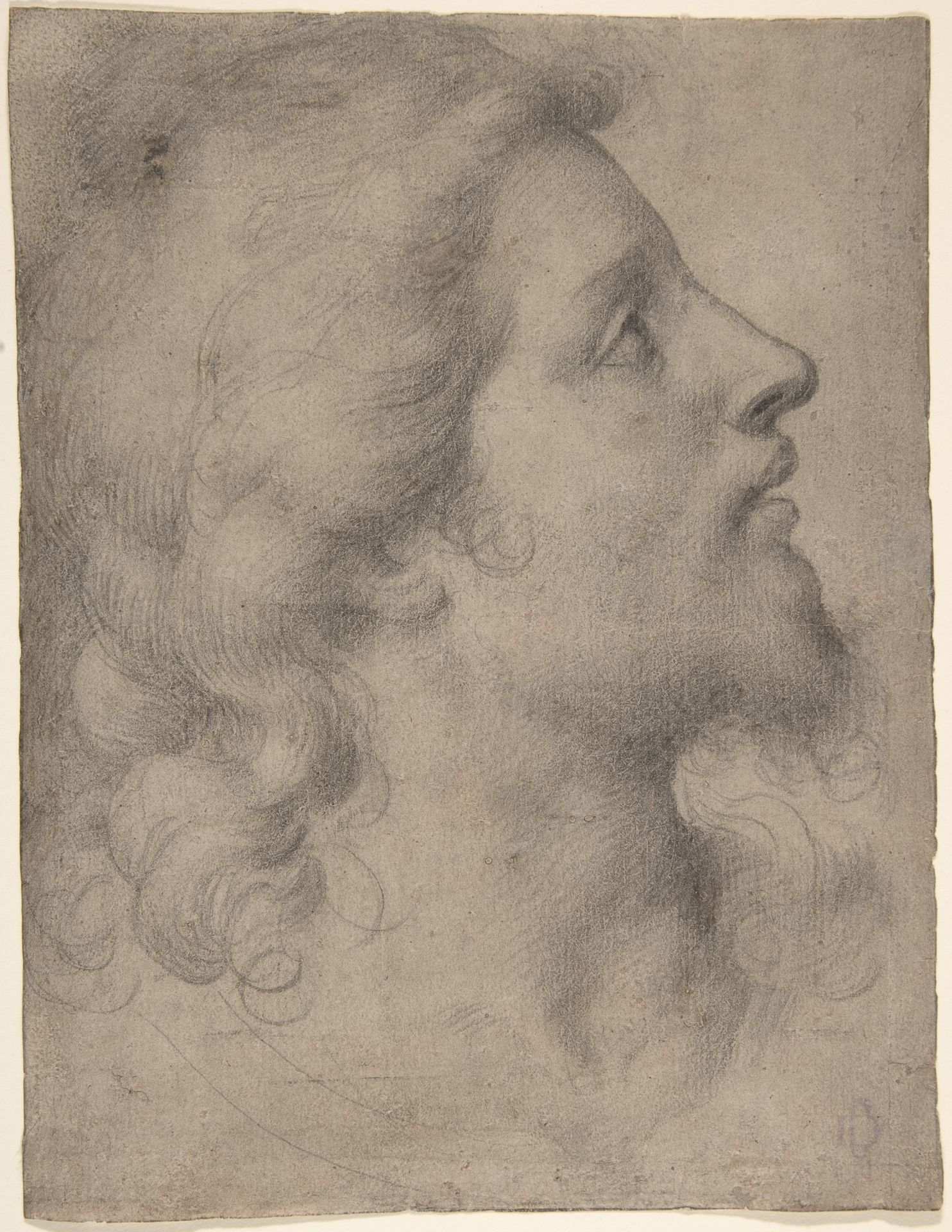 Head of a Bearded, Young Man in Profile Facing Right by Agnolo Bronzino