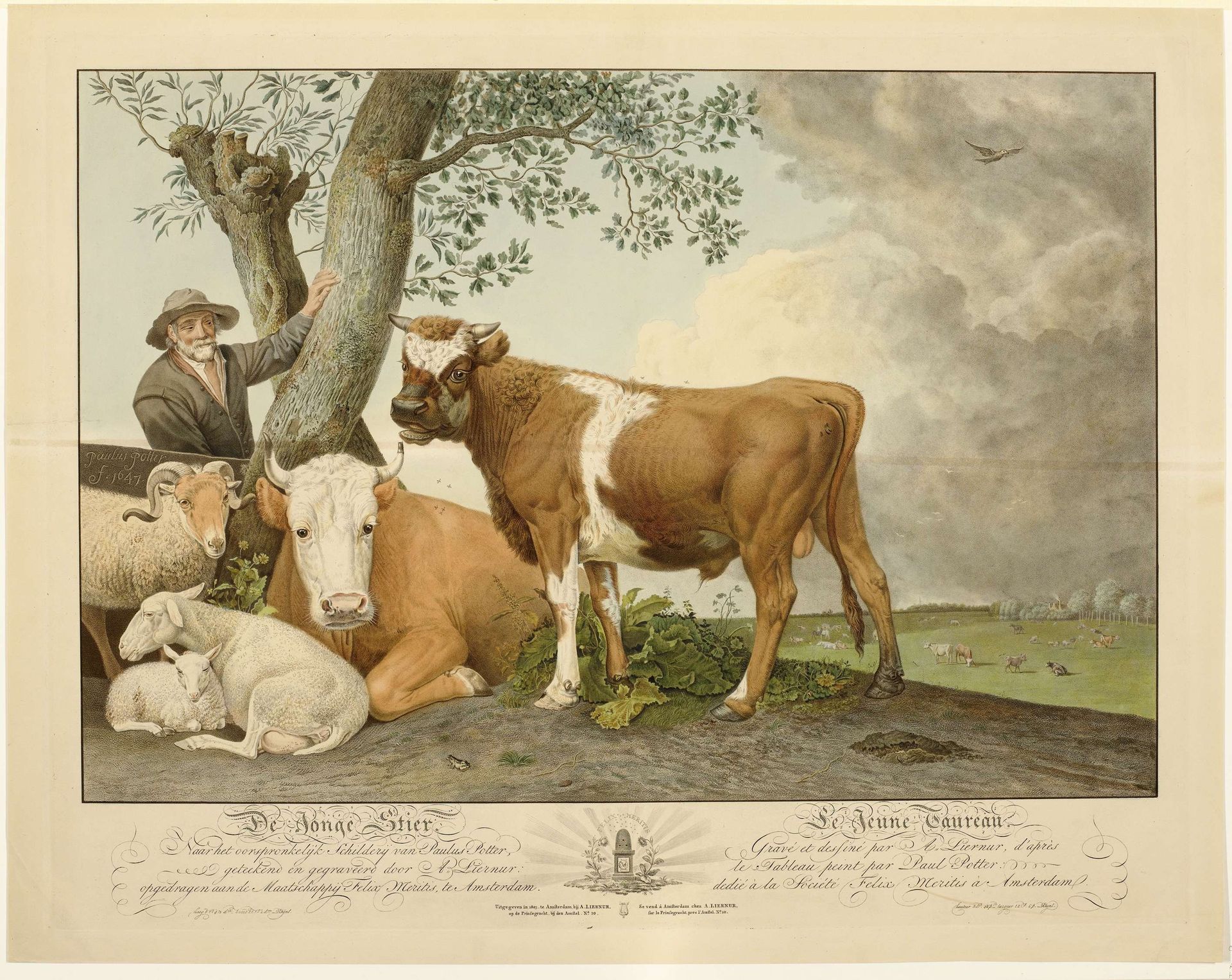 De Stier by Alexander Liernur