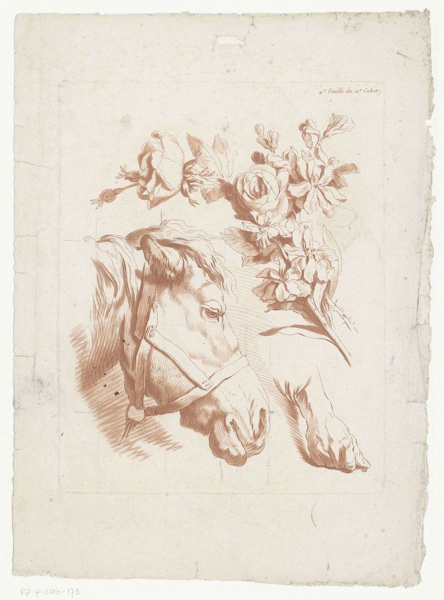 Hoofd van een paard, bloemen en een hand by Jean François Janinet