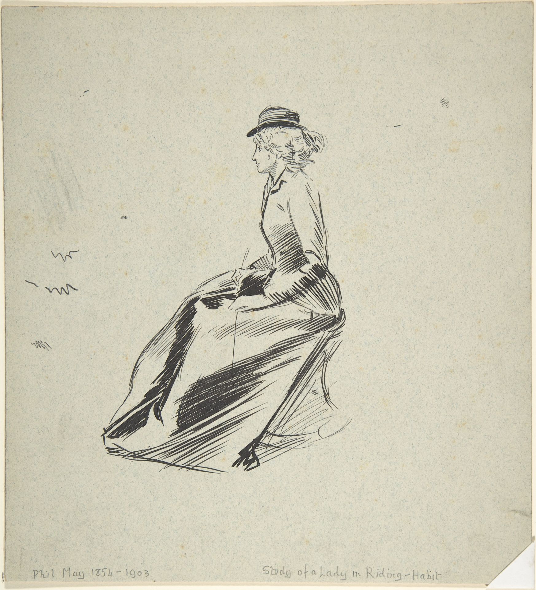 Study of a Lady in a Riding Habit by Phil May