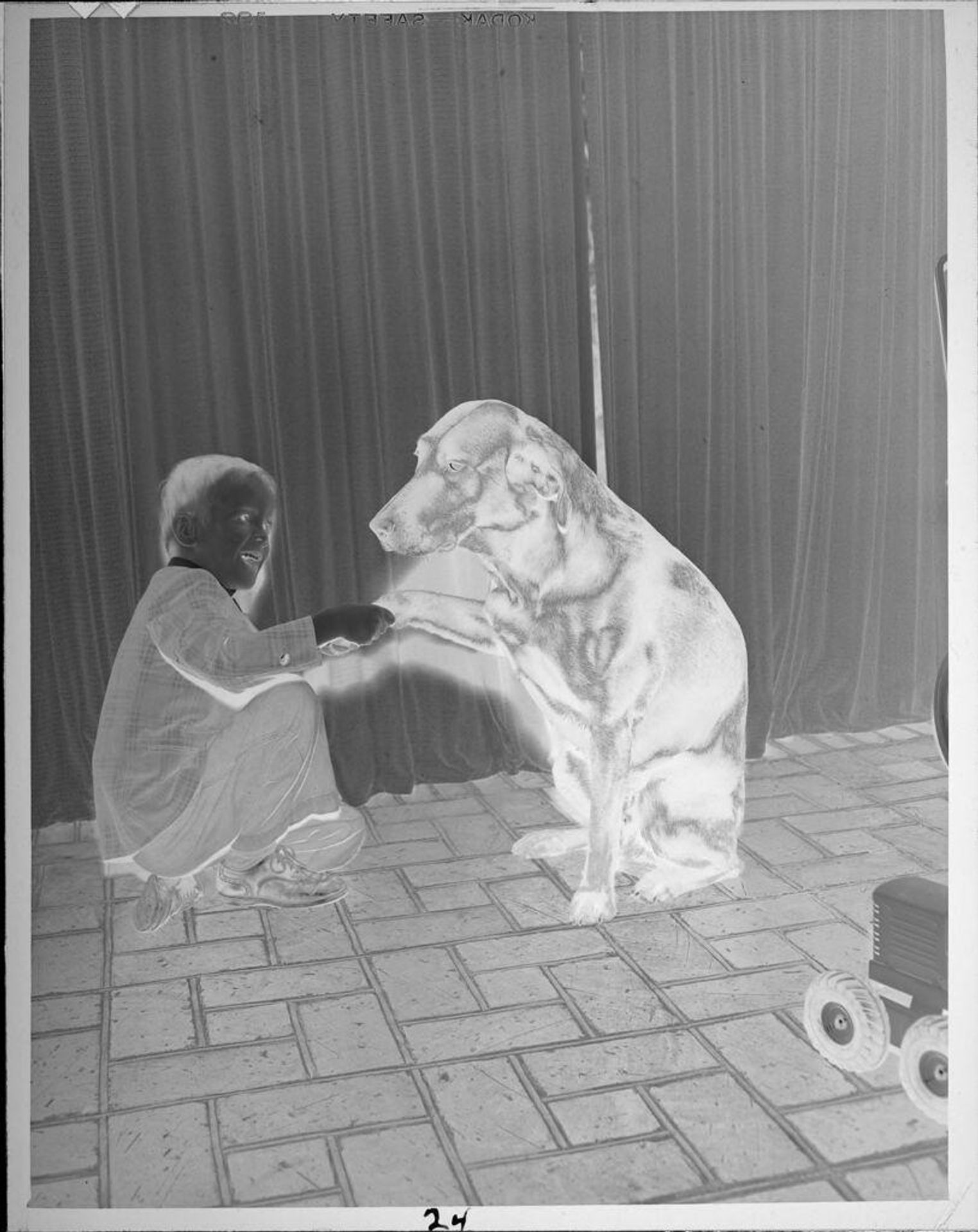 Untitled (boy shaking dog's paw) by Lucian and Mary Brown
