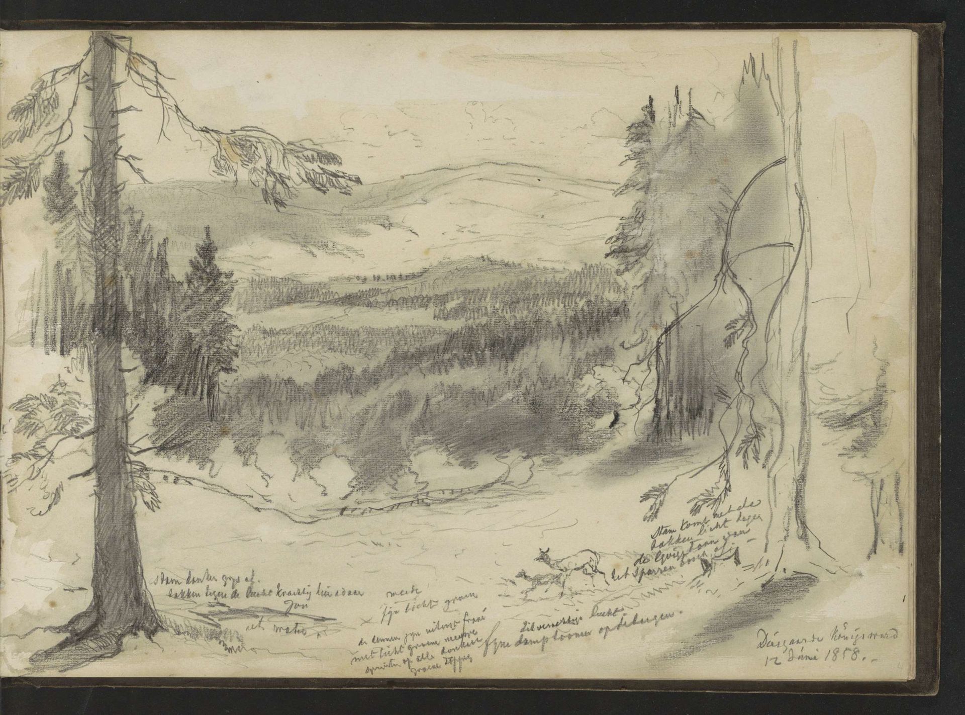 Diergaarde bij Königswald by Johannes Tavenraat
