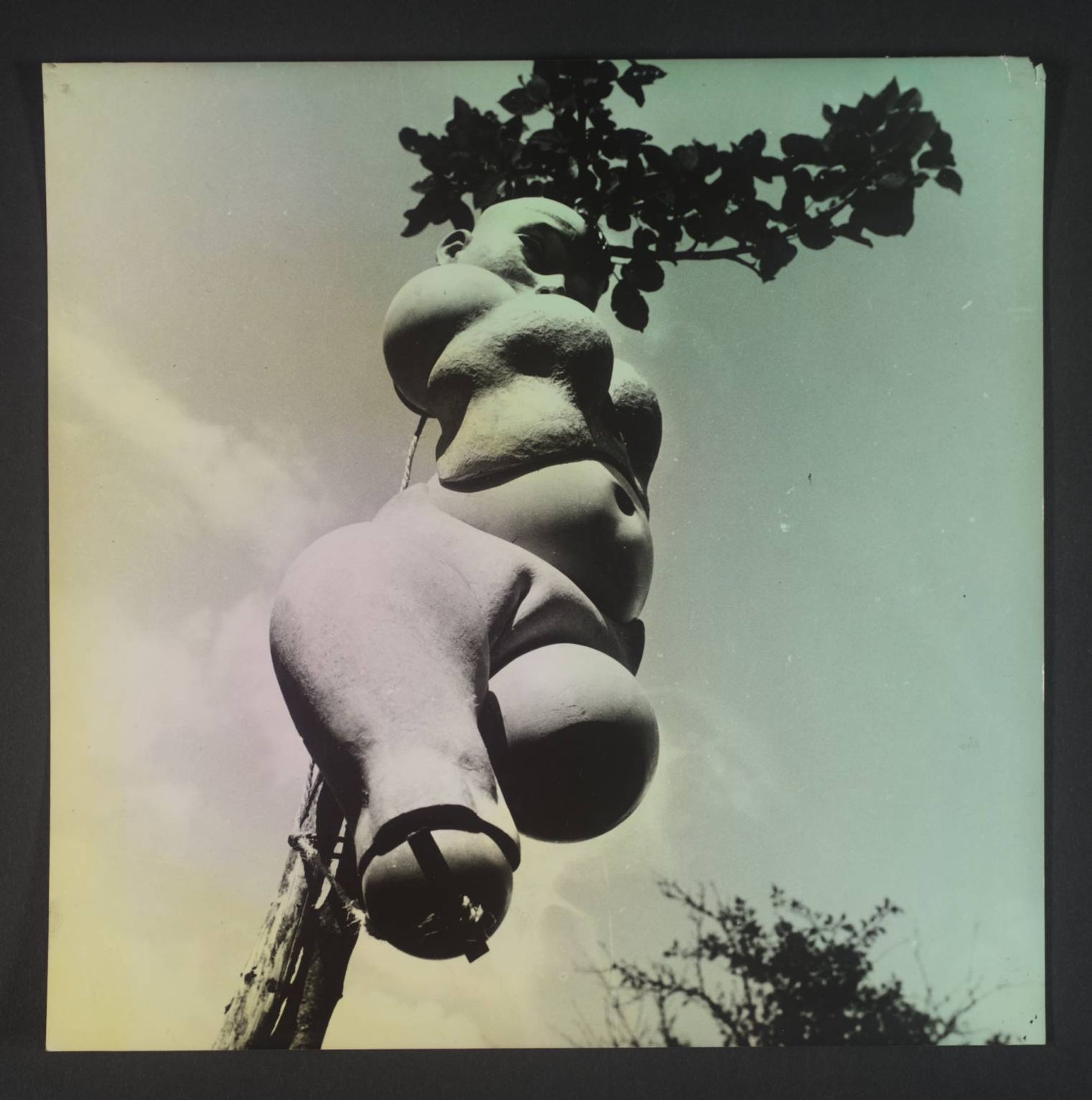 The Doll by Hans Bellmer