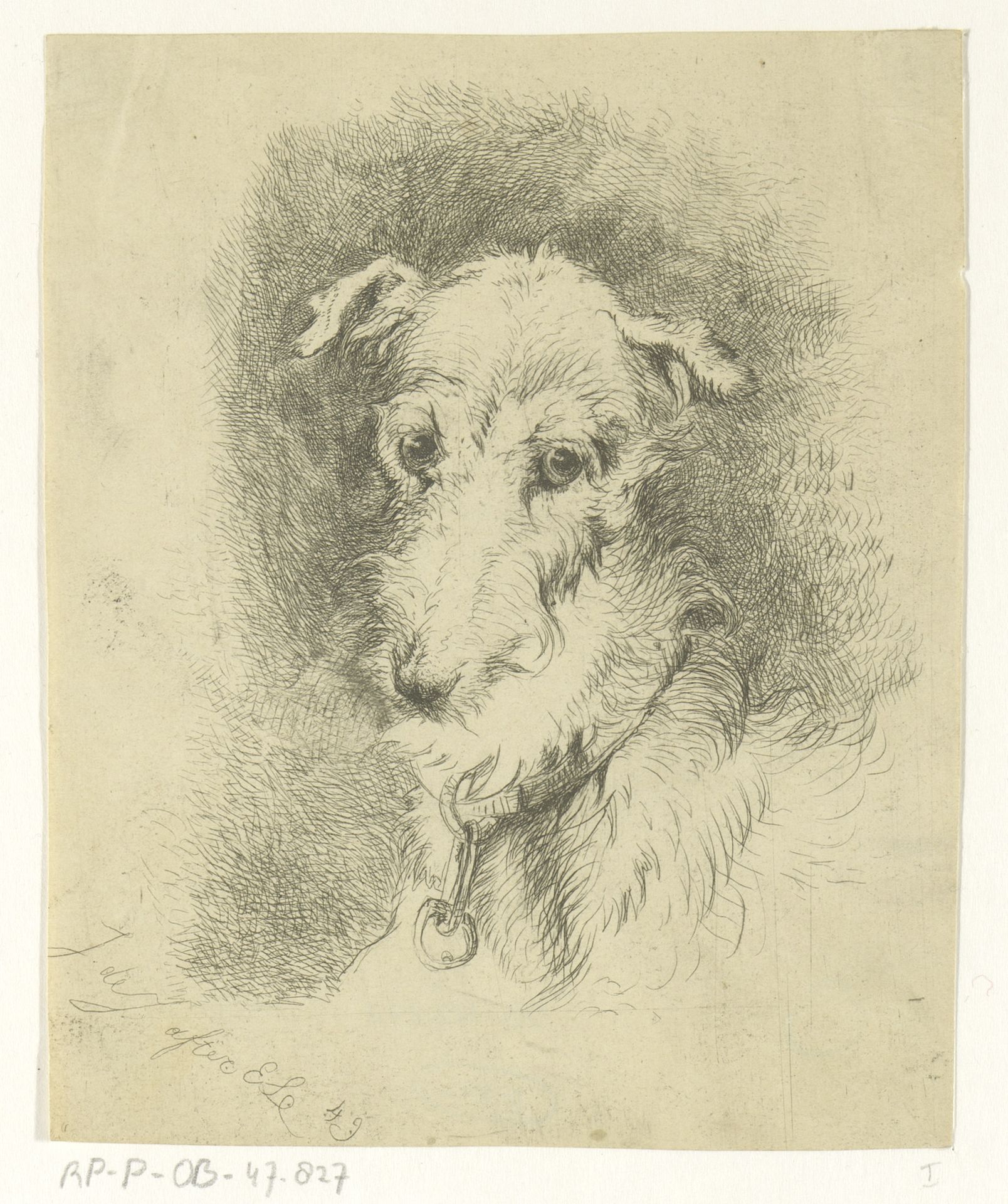 Kop van hazewindhond by Jan Karel Jacob de Jonge