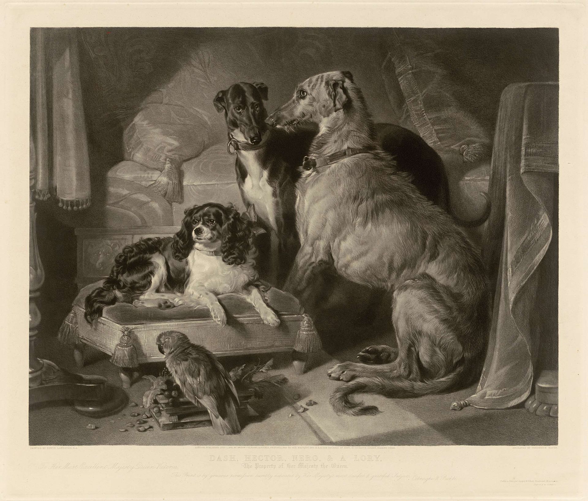 "Dash, Hector, Nero, & A Lory." by Frederick Bacon