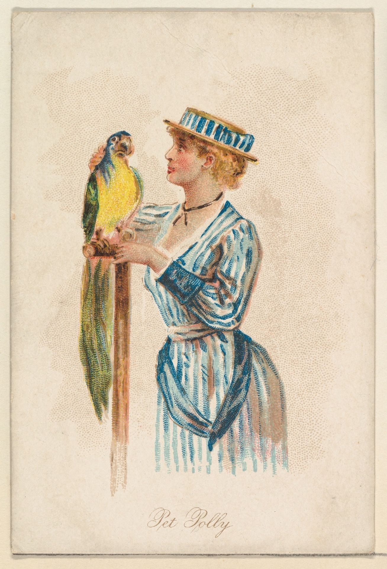 Pet Polly, from the Household Pets series (N194) issued by Wm. S. Kimball & Co. by William S. Kimball & Company