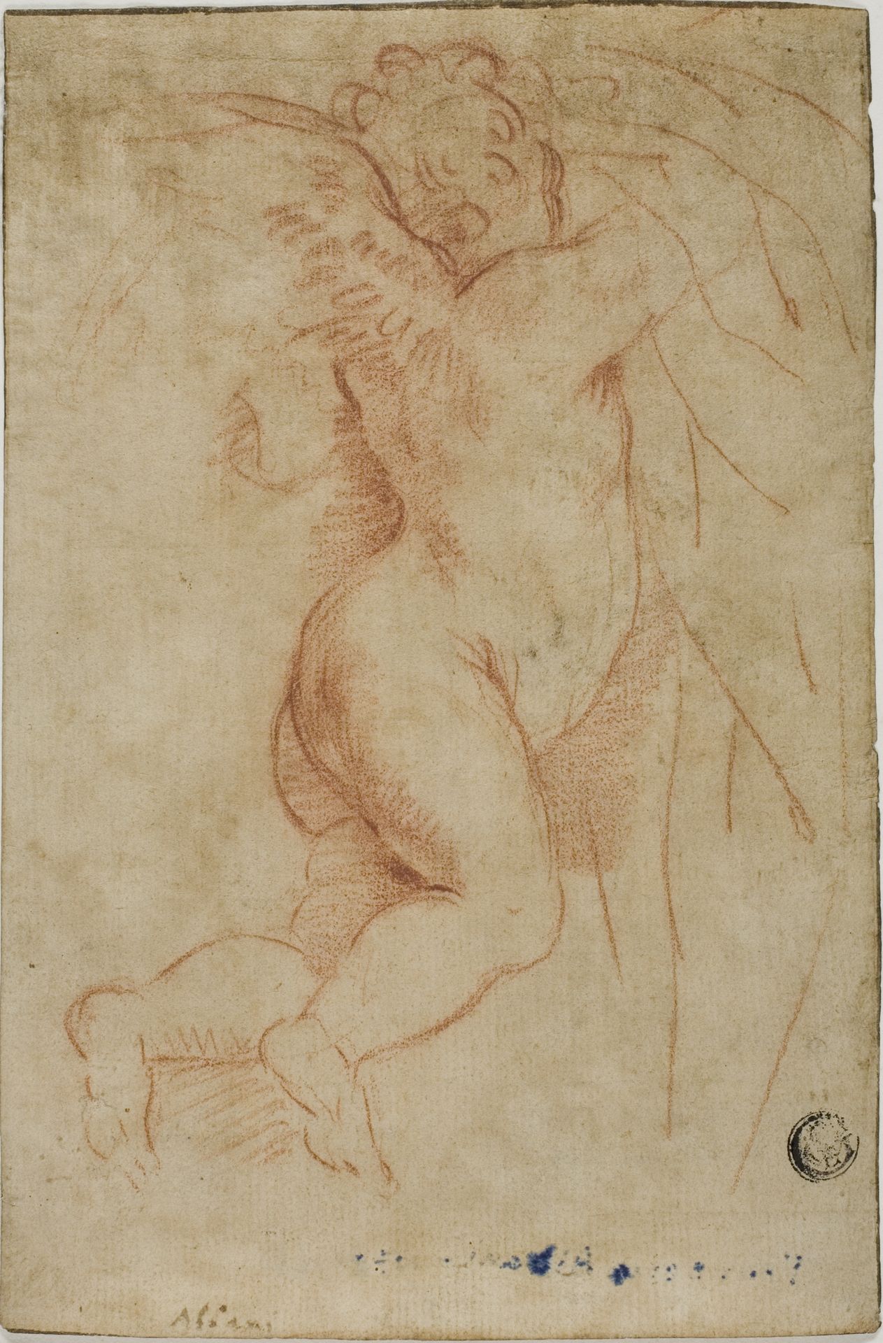 Putto Lifting Curtain (recto); Infant St. John (verso) by Anonymous
