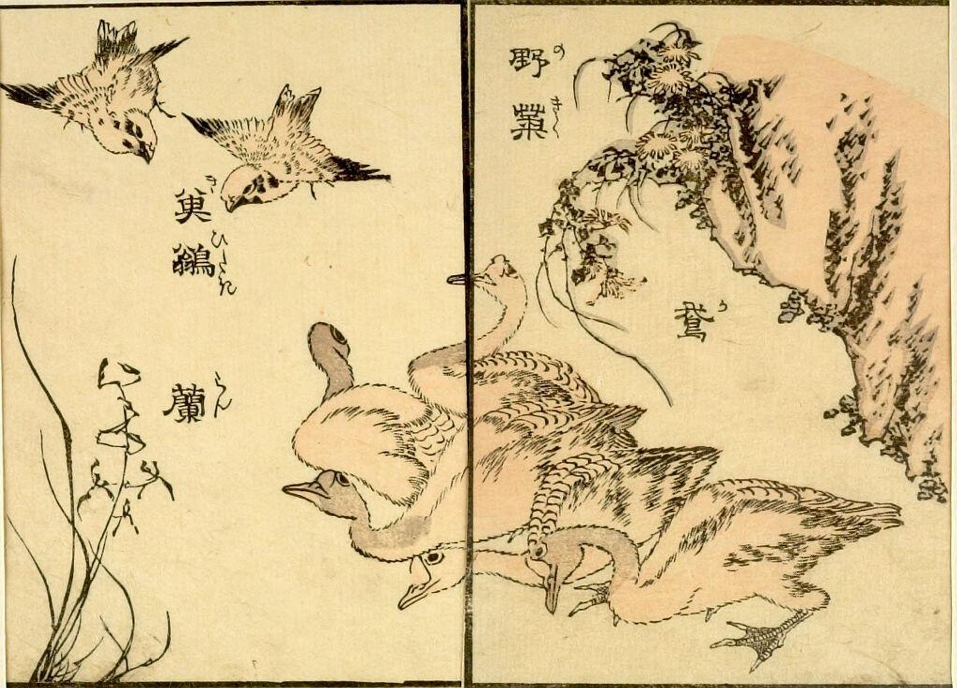 from the illustrated book "KachÅ gaden" by Katsushika Taito II äºä»£èé£¾æ´æ