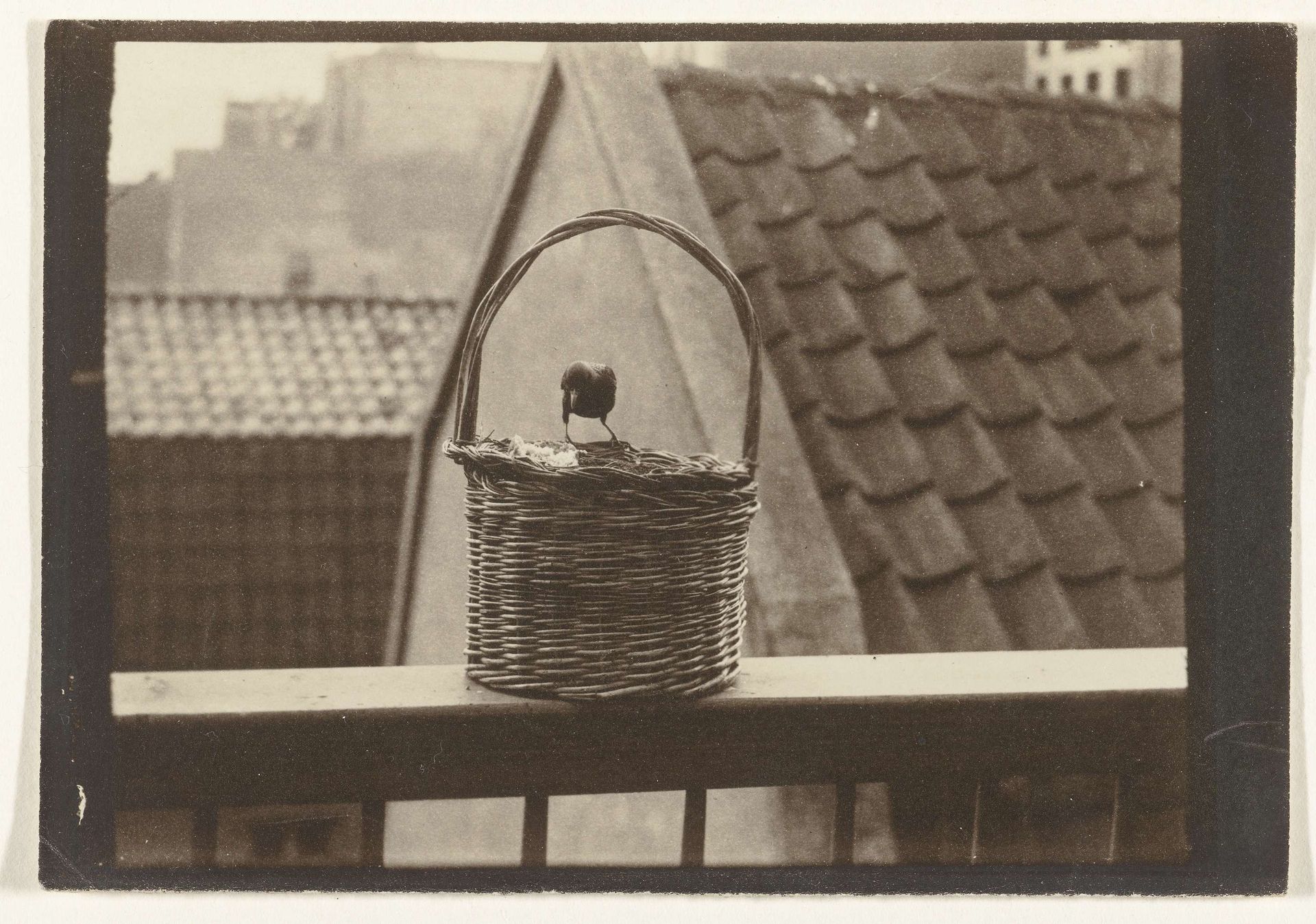 Vogel op een mand op de rand van een balkon by Richard Tepe