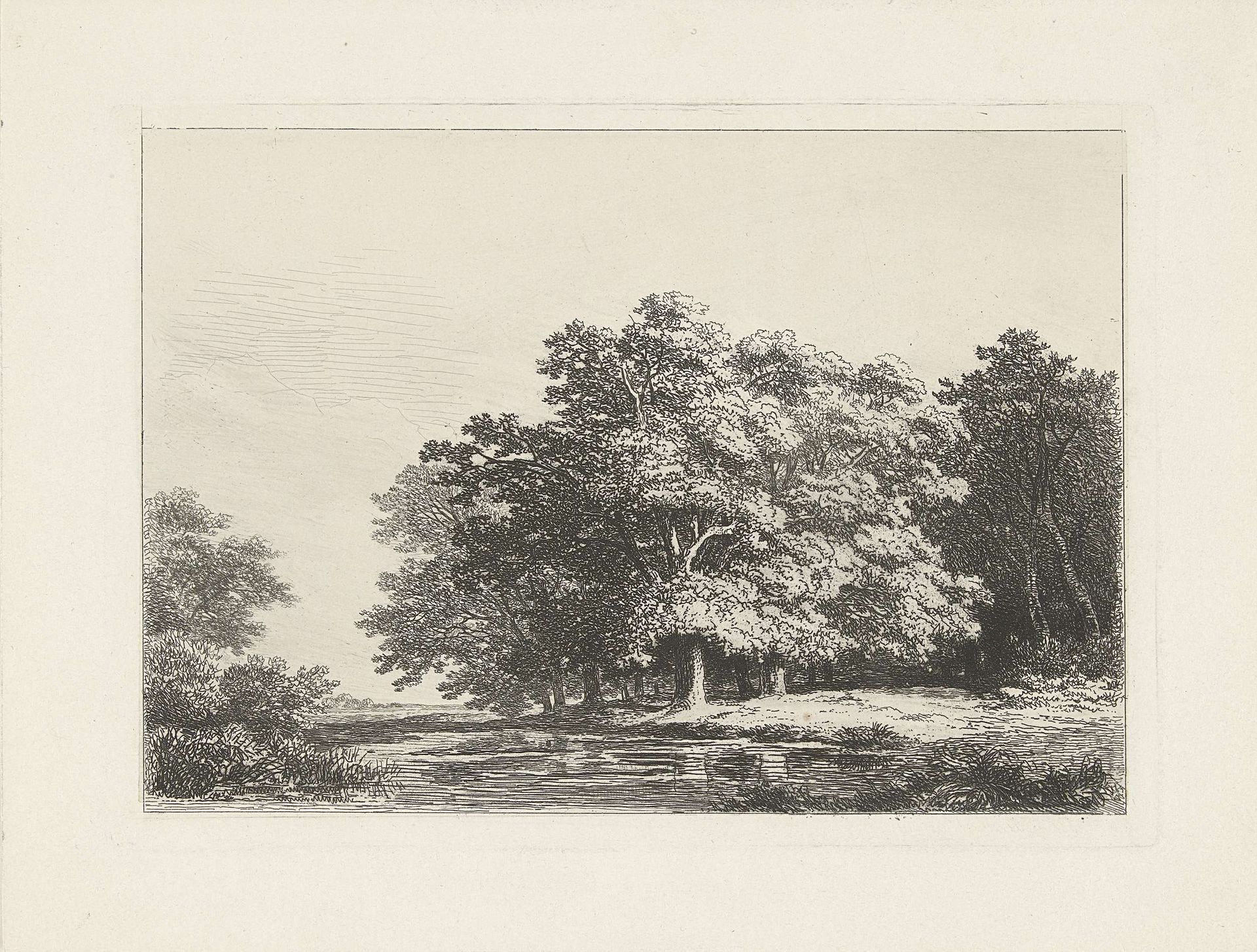 Bomen aan het water by Remigius Adrianus Haanen